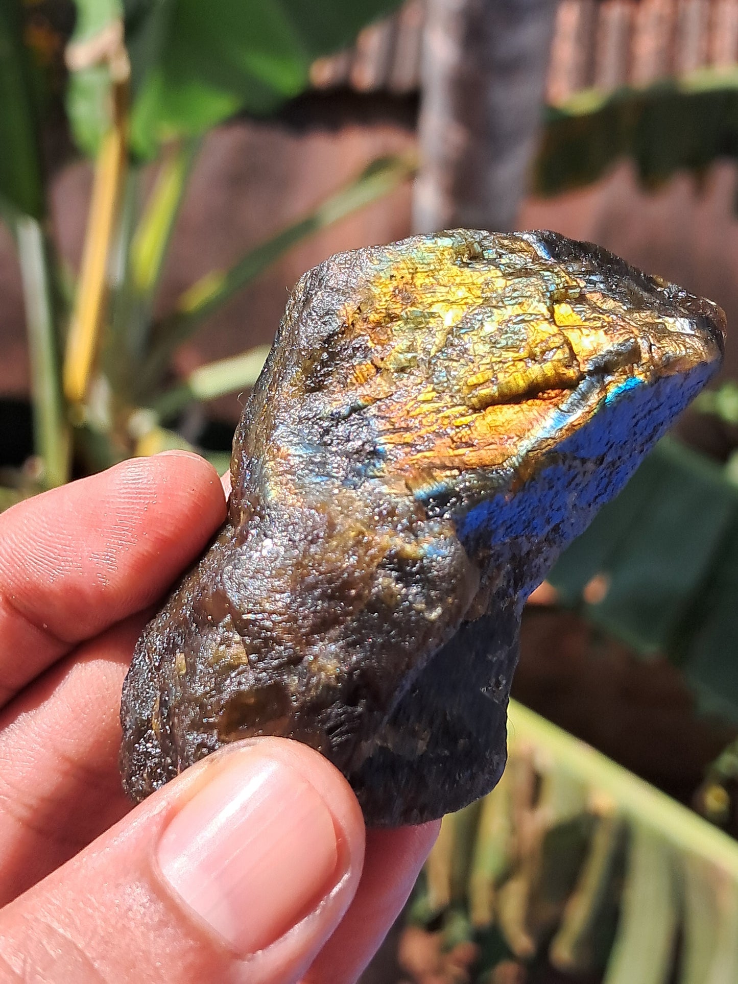 Labradorite Raw (Madagascar) | Strong Flash #LB8