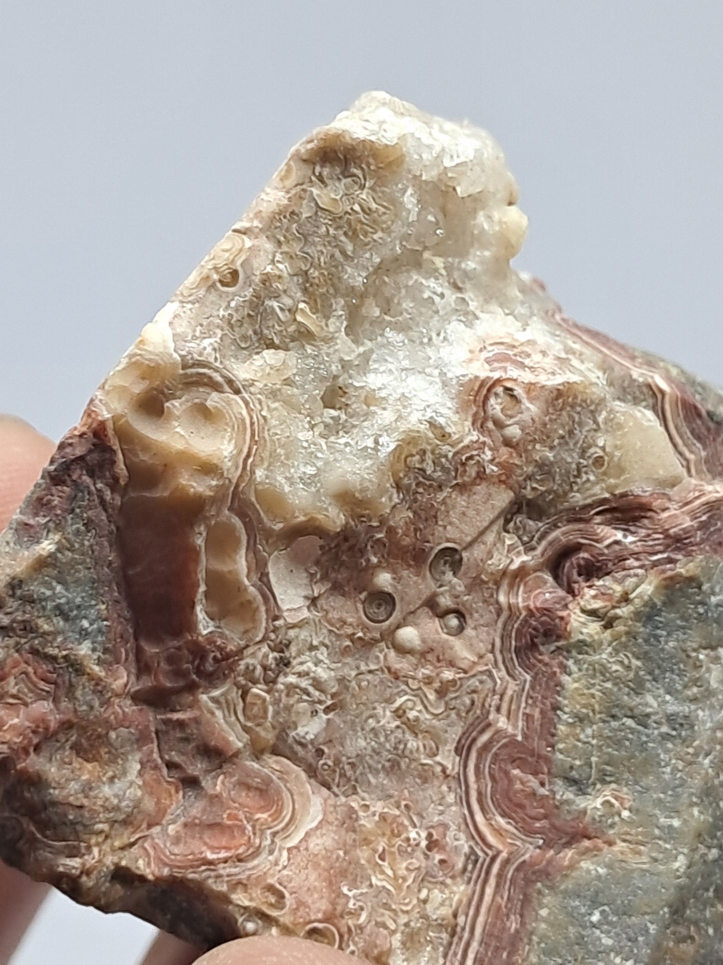 Crazy Lace Agate Rough | Natural Stone | Mineral Specimen #CLA3