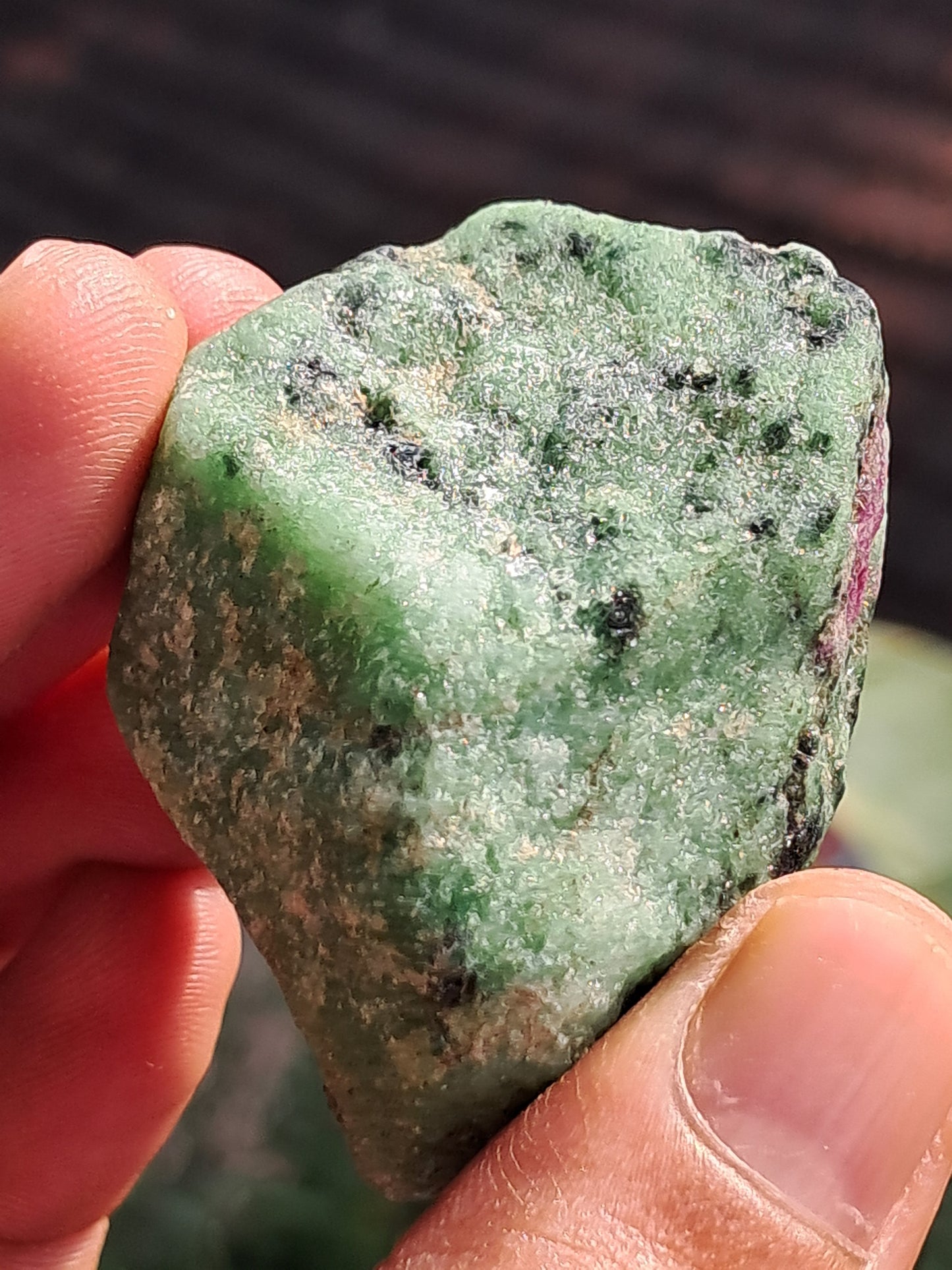 Ruby Zoisite w/ Hornblende (Tanzania) Rough Stone | Natural Specimen #RZ9