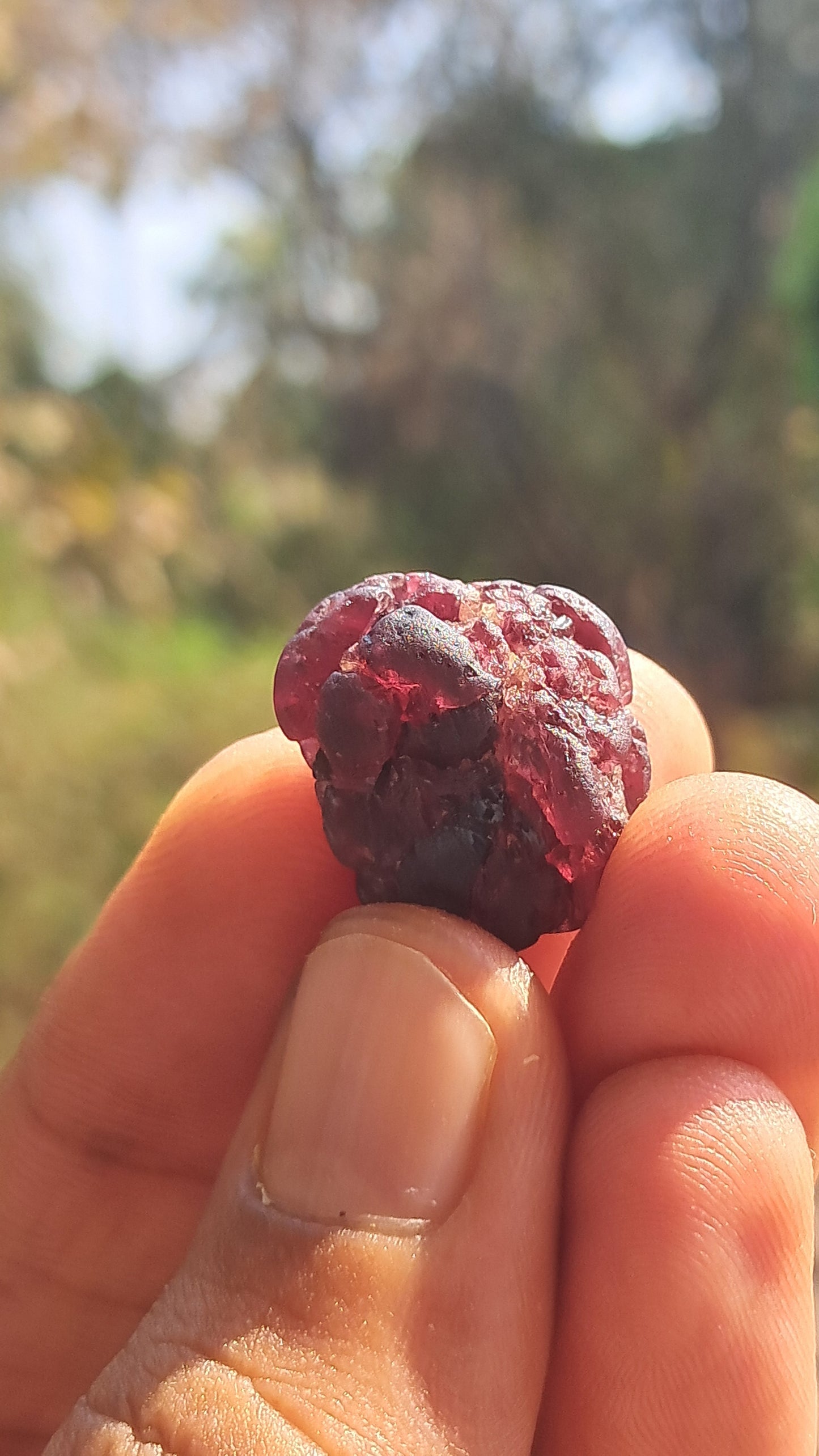 Granate Rojo (Karur) | Pulido por el río | Piedra Natural #RG4