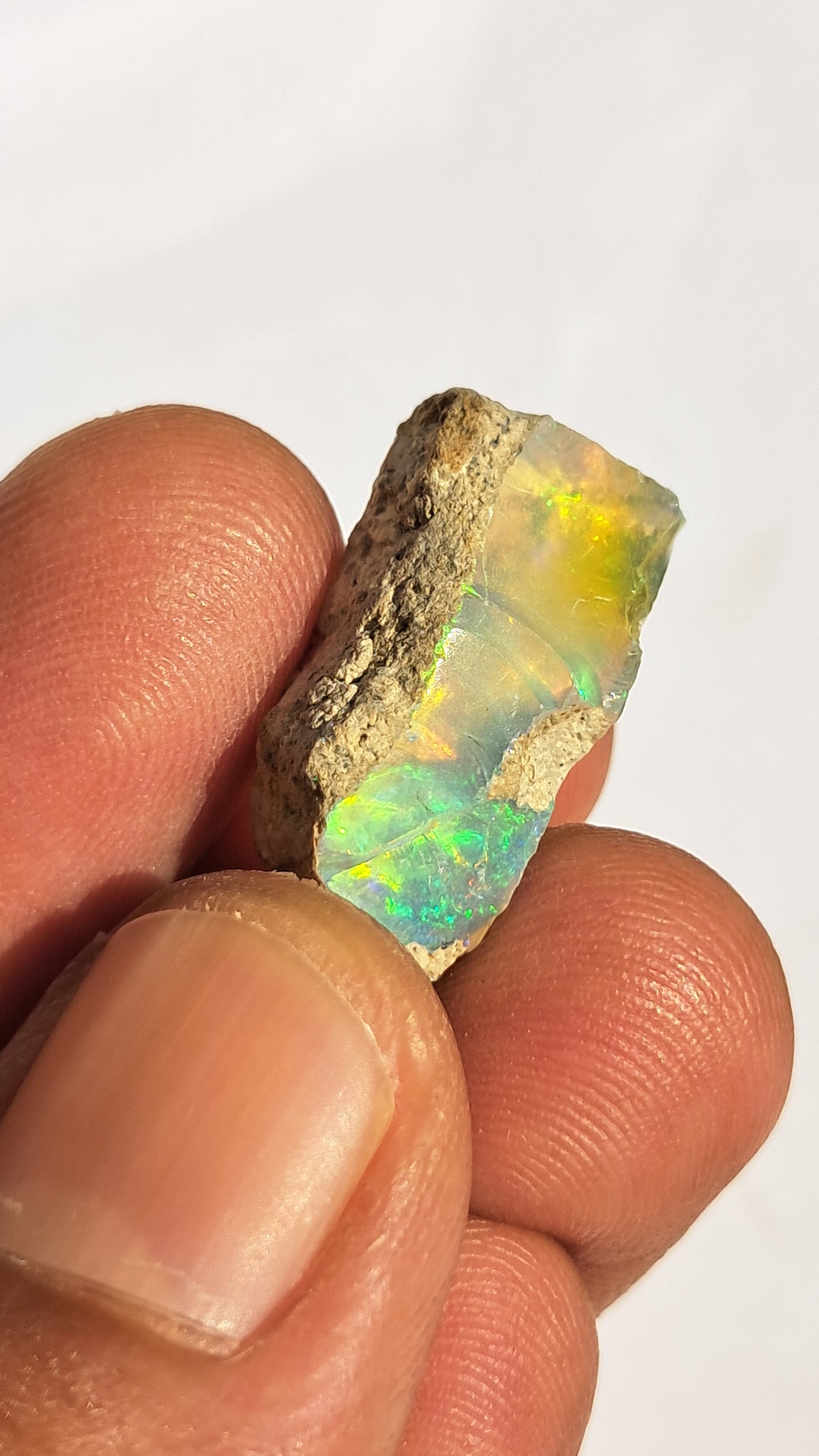 Natural Ethiopian Opal Rough | White Hydrophane Opal with Bright Play of Color #OP16