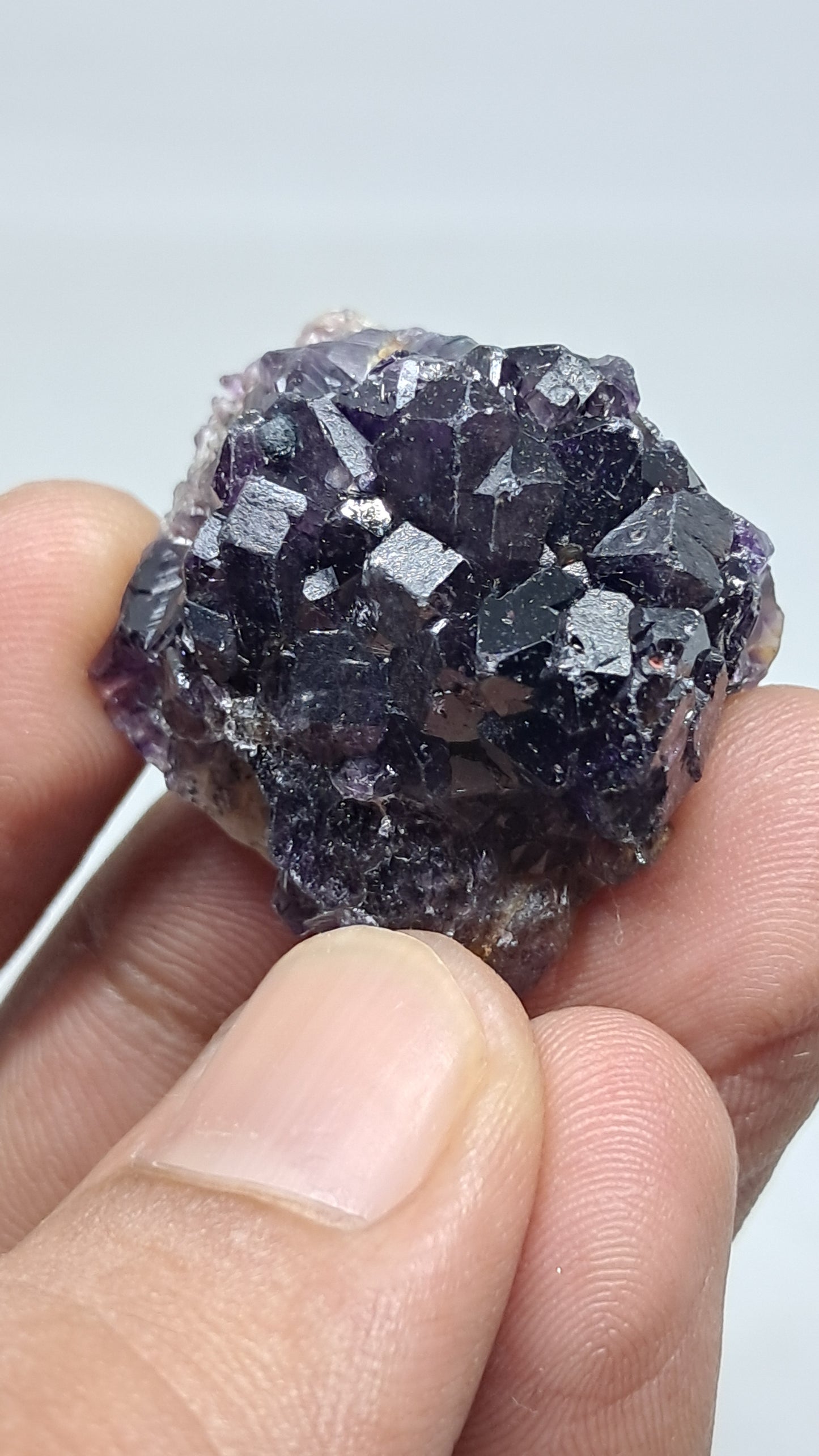 Amatista Elestial Morada Profunda sobre Cuarzo | Inclusiones de Hematita Goethita Rutilo | Cristal Natural | Muestra Mineral #KA195