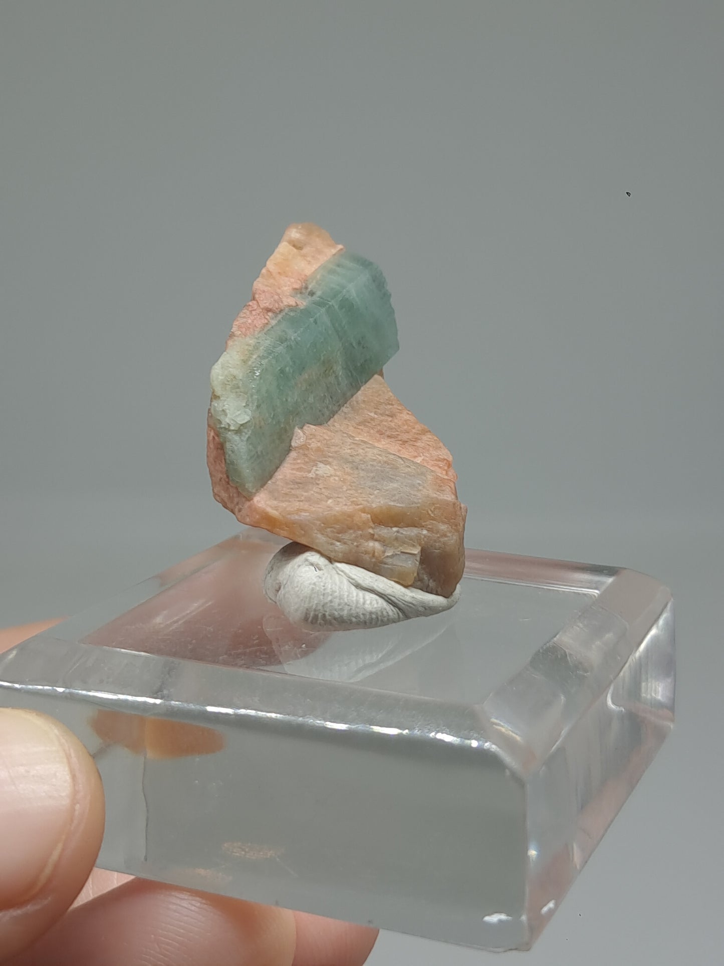 Aquamarine on Matrix (Karur) Rough Natural Crystal | Mineral Specimen #AQM44