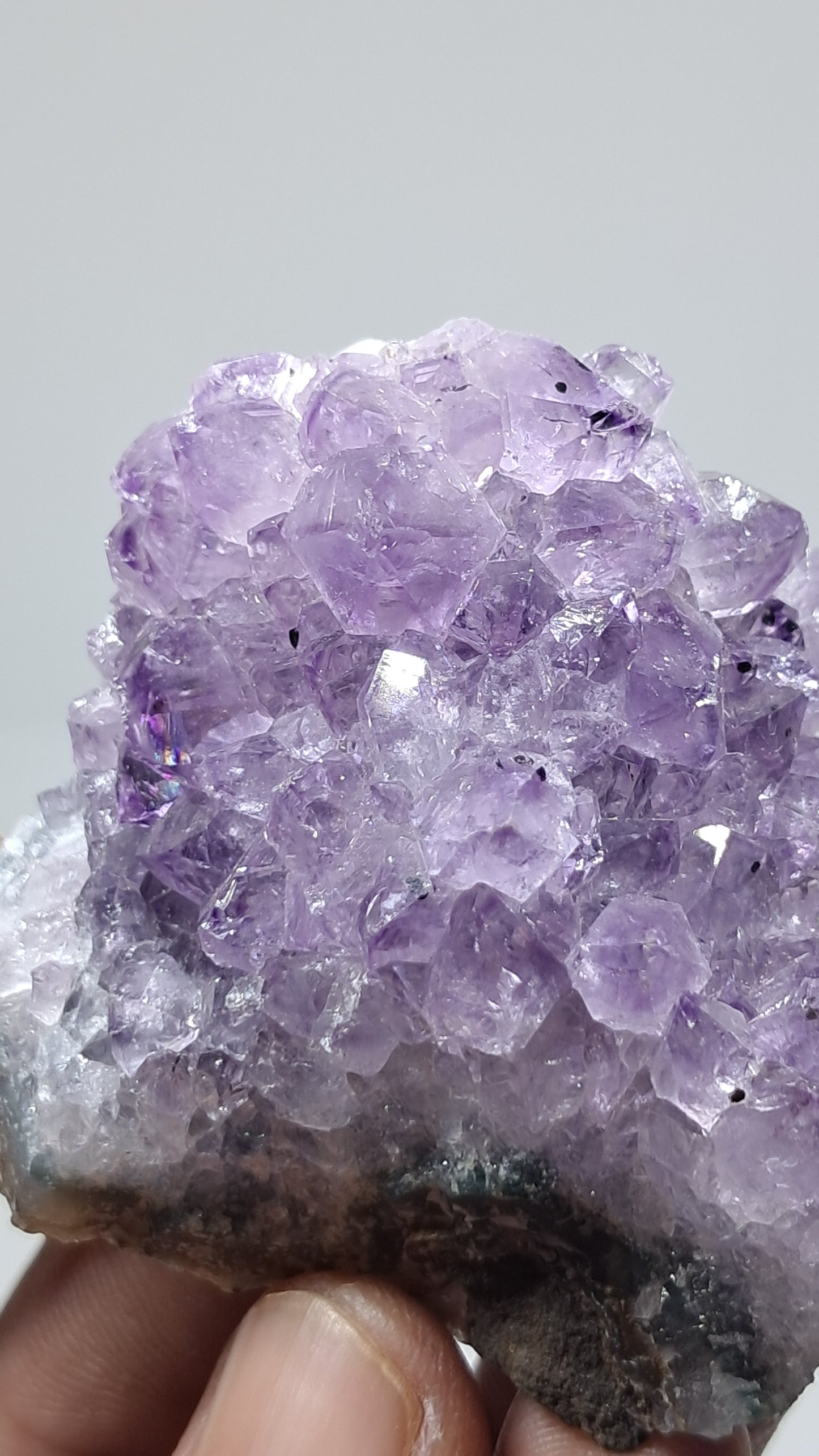 Amethyst Cluster (Brazil) | Natural Crystal | Mineral Specimen #AMB15
