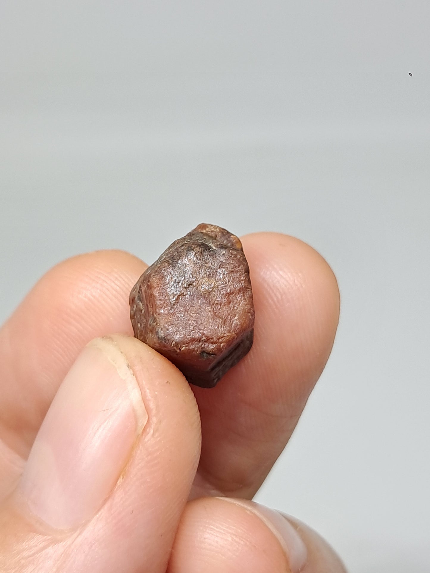 Rough Ruby Crystal w/ Record Keeper (Tamil Nadu) Natural Stone | Mineral Specimen #RB17