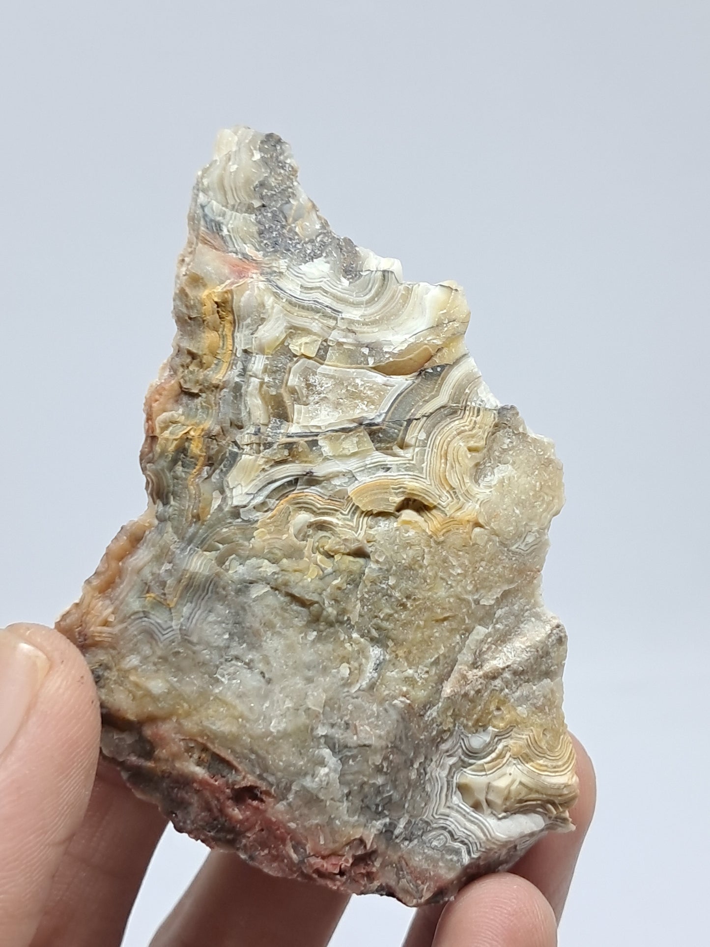 Crazy Lace Agate Rough | Natural Stone | Mineral Specimen #CLA4