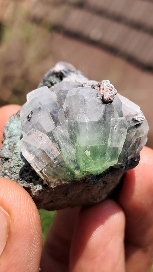 Apofilita Verde (Fluorapofilita) en Matriz (Ajanta) Cristal Natural | Muestra Mineral #GA21
