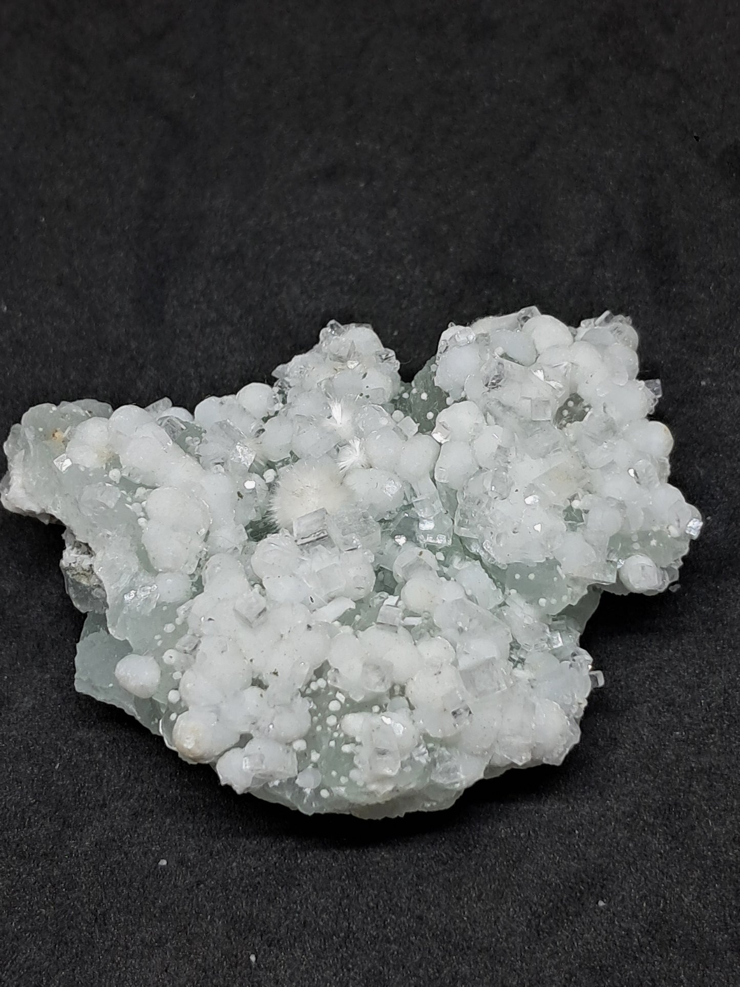 Okenite w/ Gyrolite and Apophyllite on Prehenite Matrix (Mumbai) Mineral Specimen | Collector Grade | Natural Crystal #OK23