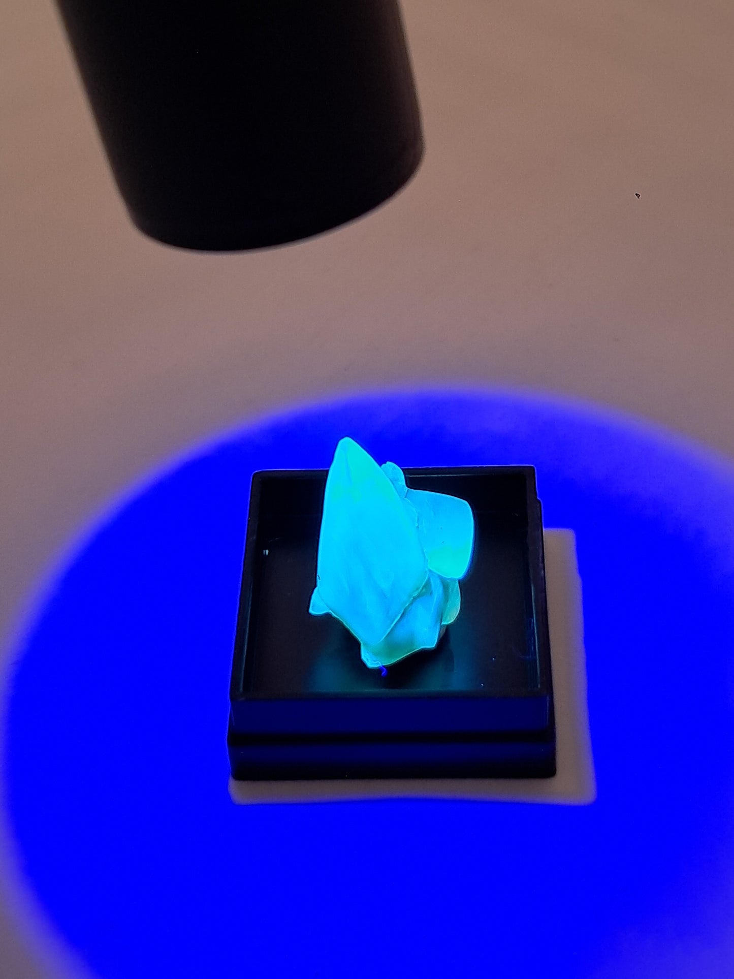 'Dog Tooth' Honey Calcite (Ahmednagar) UV Reactive Natural Crystal | Mineral Specimen #CA24