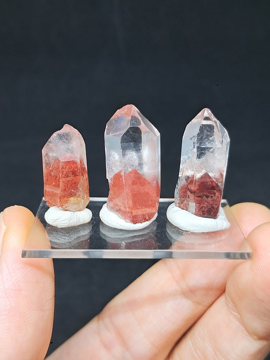 Juego de 3 puntas de cristal natural de cuarzo fantasma de hematita (Telangana) | Ejemplar mineral n.° HPQ11