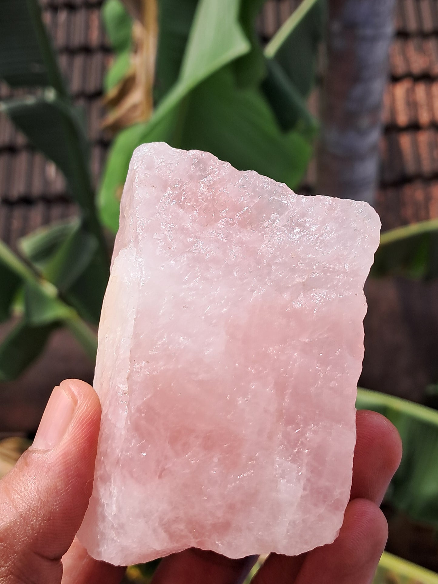 Rose Quartz (Rajasthan) Rough Stone | Natural Gemstone #RQ7