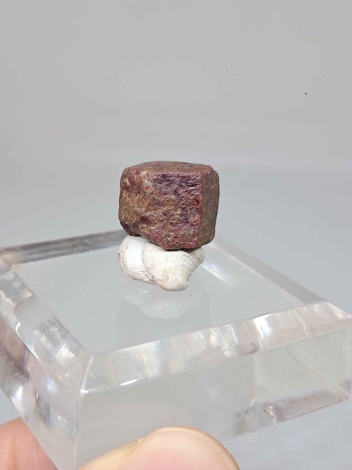 Cristal de rubí en bruto (Tamil Nadu) Piedra natural | Muestra mineral #RB24
