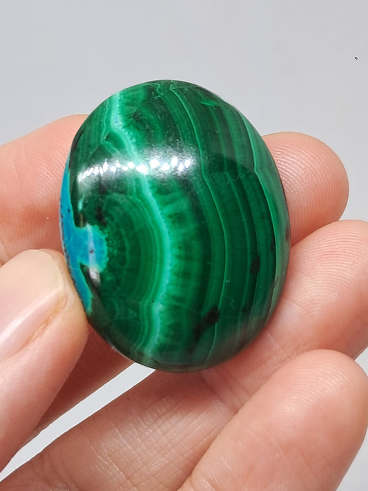 Chrysocolla Malachite Palmstone (Democratic Republic of Congo) Polished Natural Stone