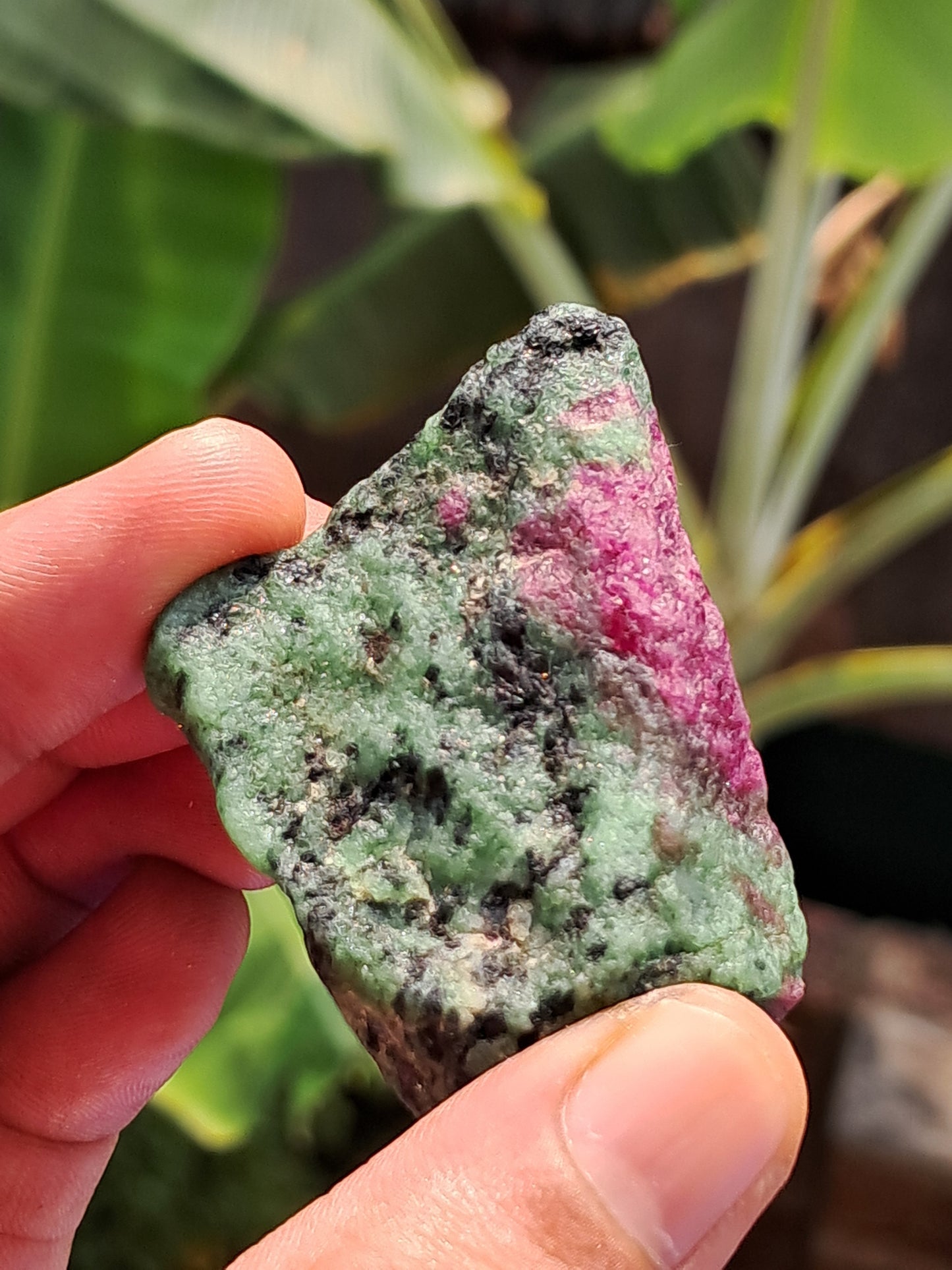 Ruby Zoisite w/ Hornblende (Tanzania) Rough Stone | Natural Specimen #RZ8