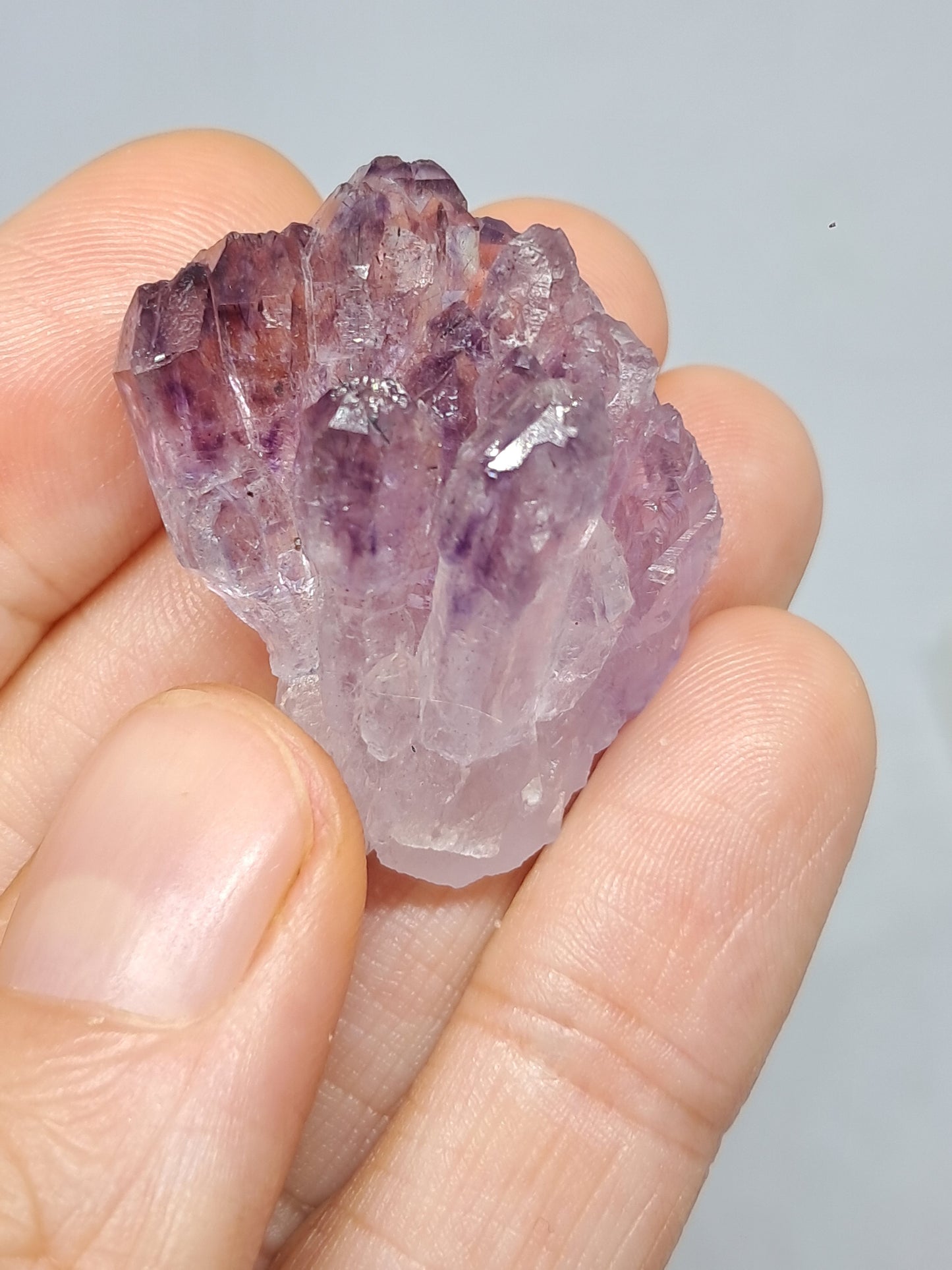 Cúmulo de cetro de amatista con rutilo y arcoíris (Karur) | Piedra natural | Ejemplar mineral n.° KA81