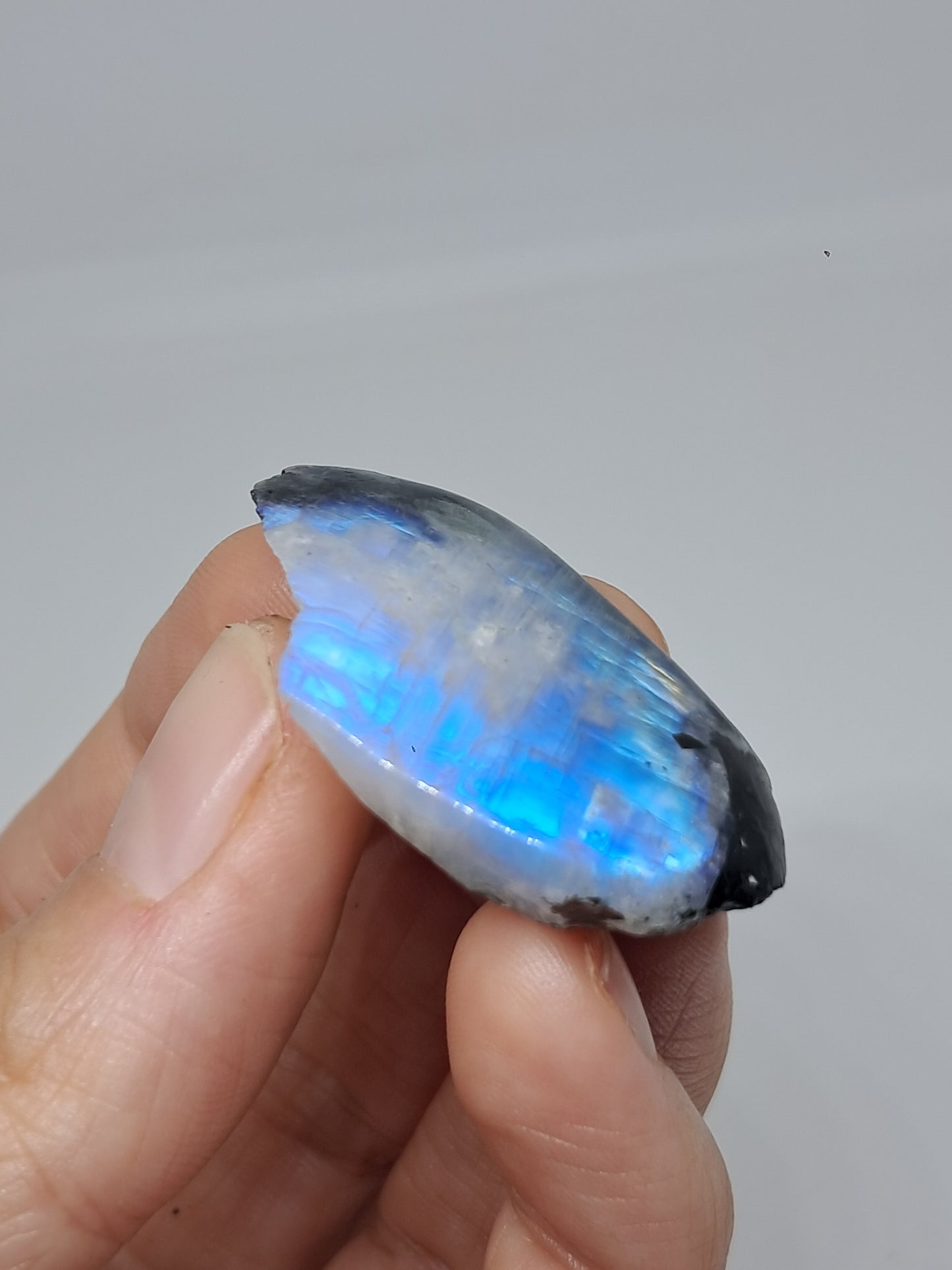 White Labradorite | Rainbow Moonstone *High Grade* (Tamil Nadu) Rough & Polished Stone | Natural Rock #MN18