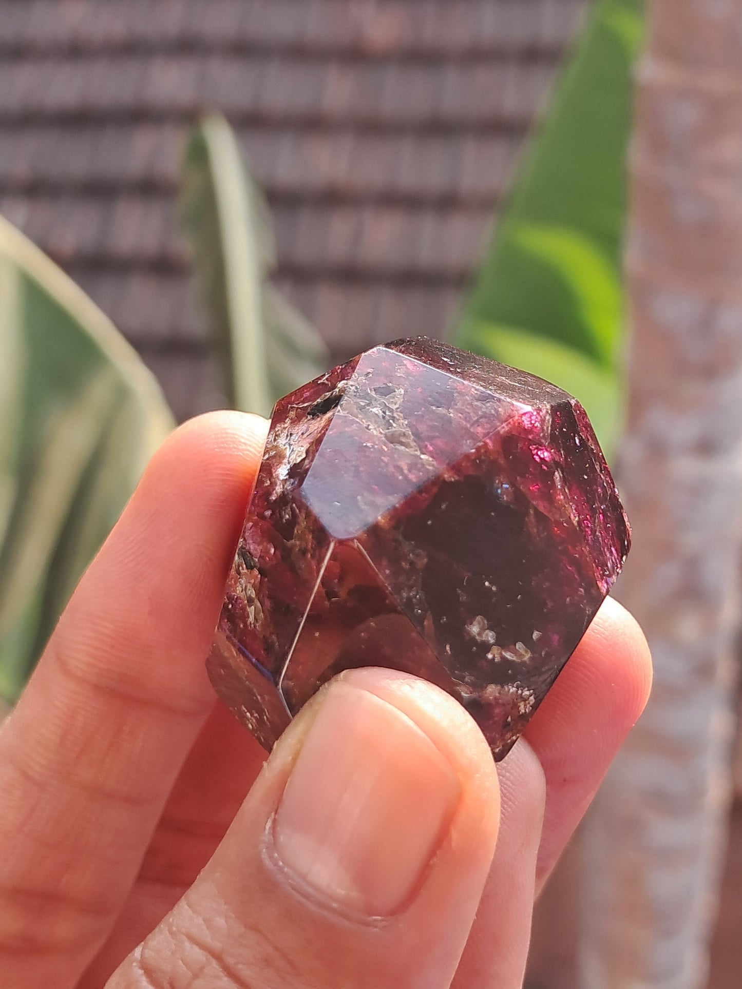 Red Garnet Natural Shape | Polished Stone #GR1