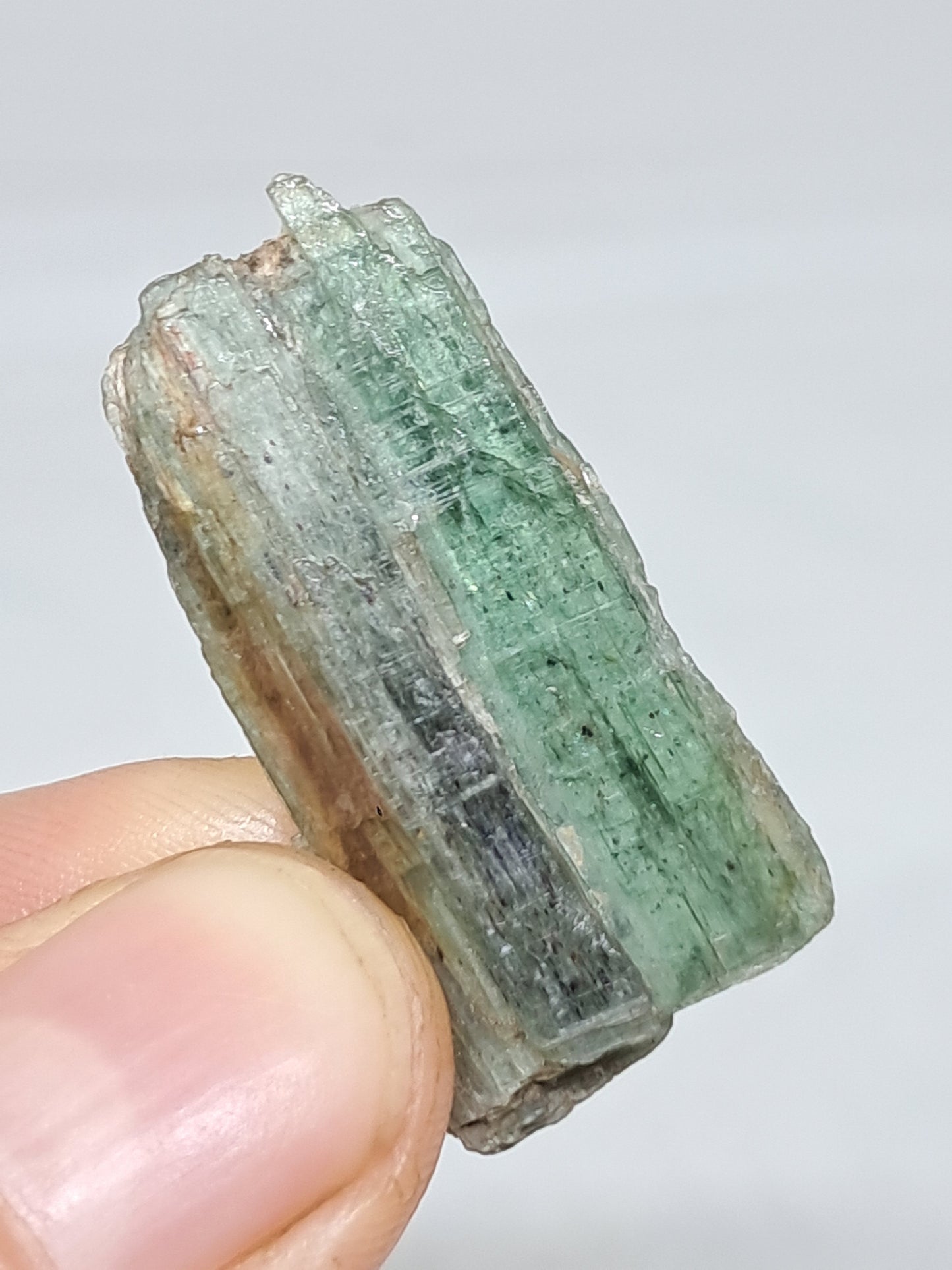 Green Kyanite (Tamil Nadu) Natural Crystal #KY8