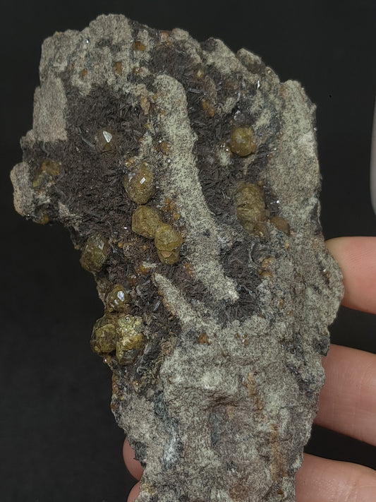 Green Garnet w/ Aegirine (Acmite) on Matrix (Mexico) Andradite Garnet Cluster |Rough Crystal Stone | Mineral Specimen #GR27