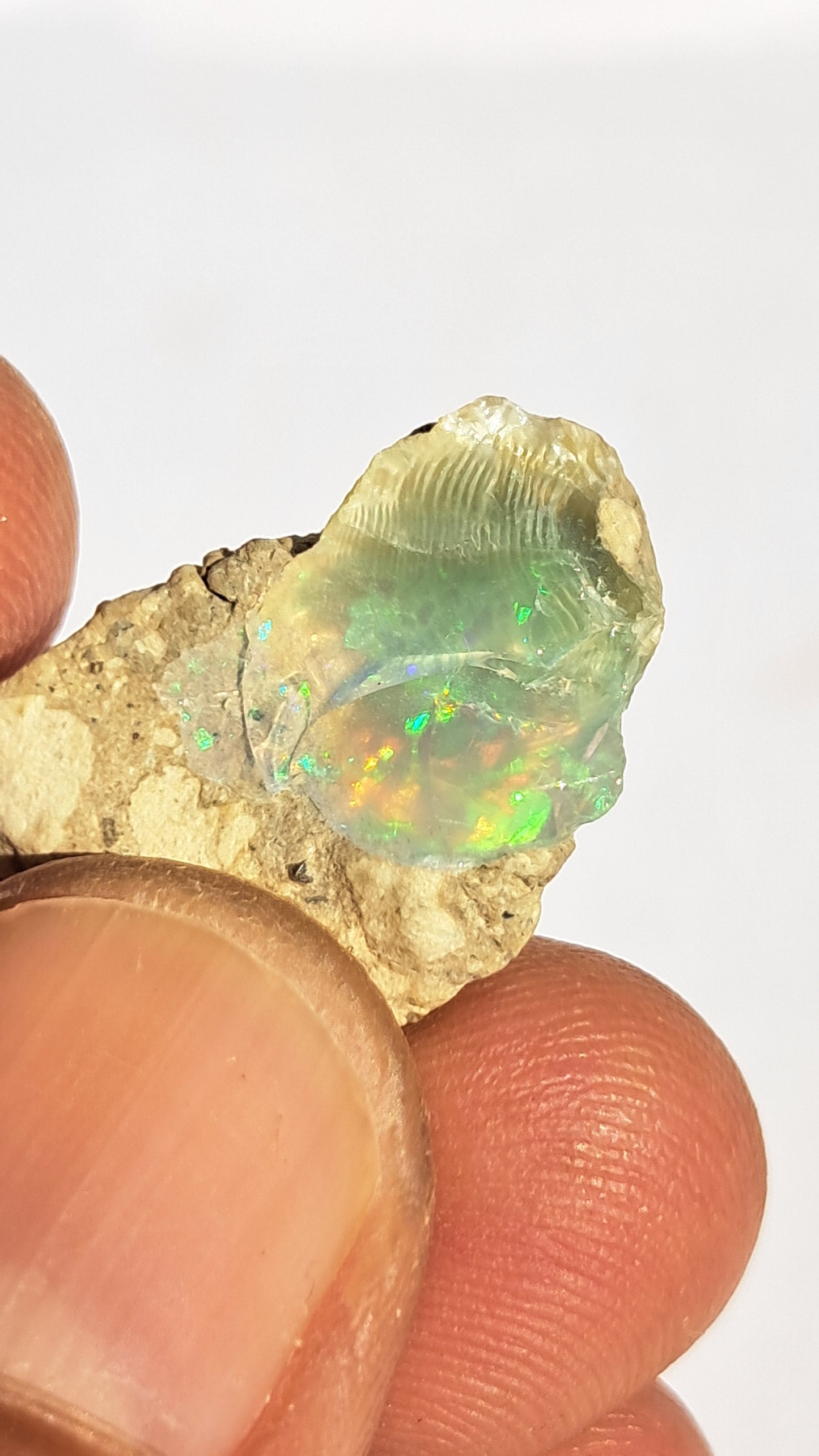 Natural Ethiopian Opal Rough | White Hydrophane Opal w/ Bright Play of Color #OP2