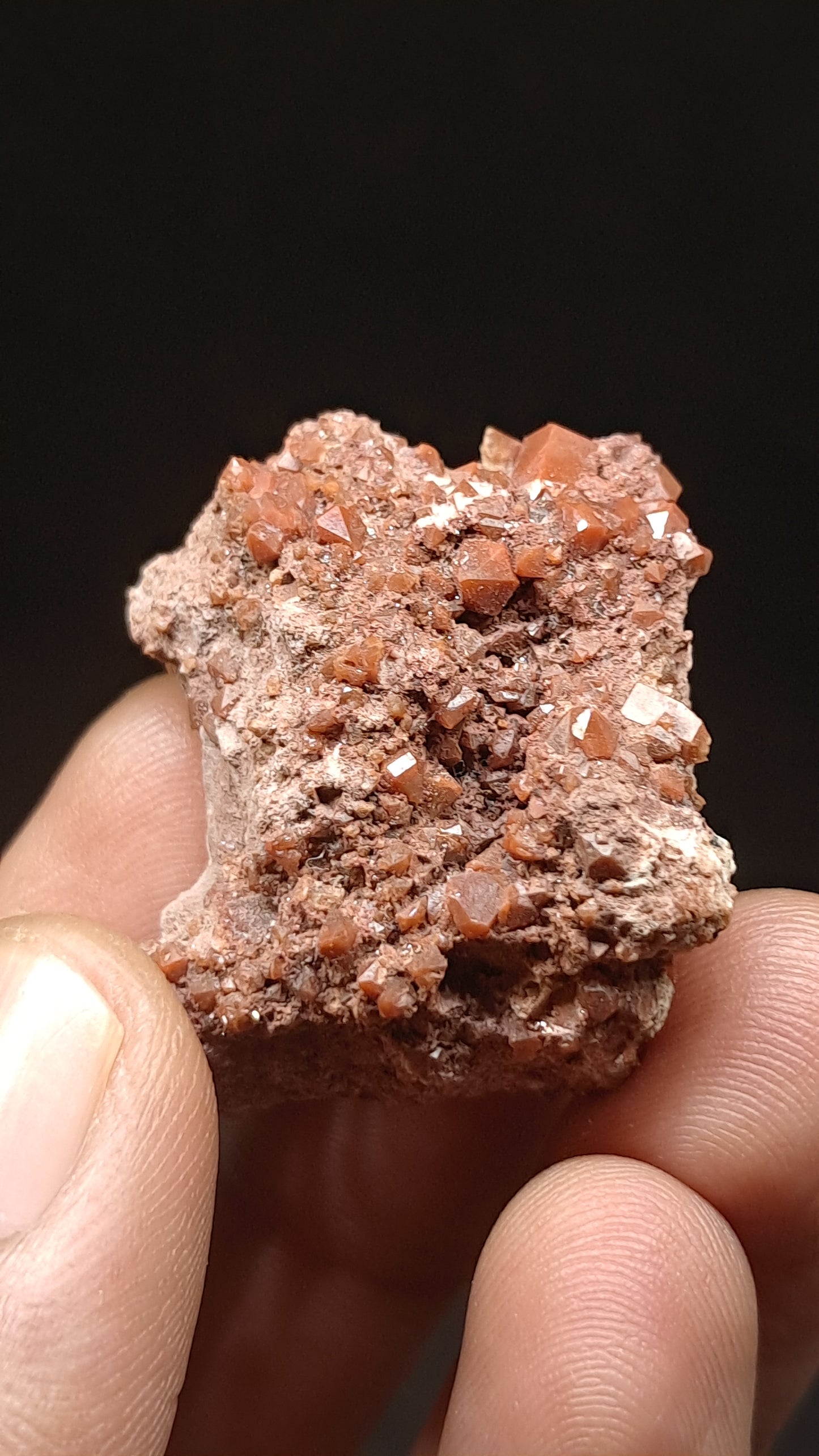Jacinto de Compostela Quartz Cluster On Matrix | Natural Crystal | Mineral Specimen #JCQ8