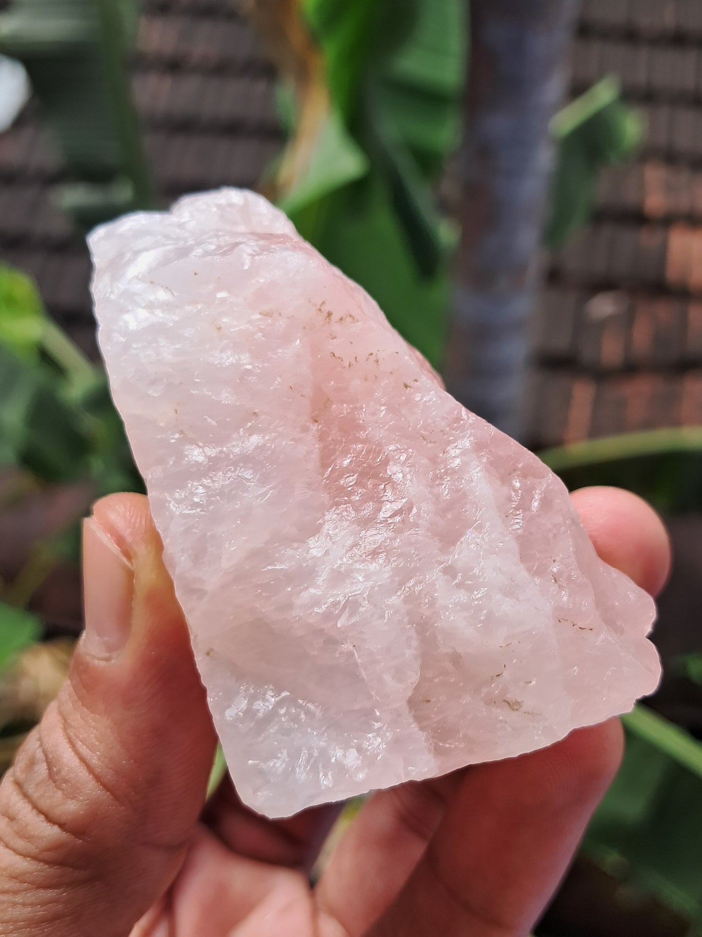 Rose Quartz (Rajasthan) Rough Stone | Natural Gemstone #RQ9
