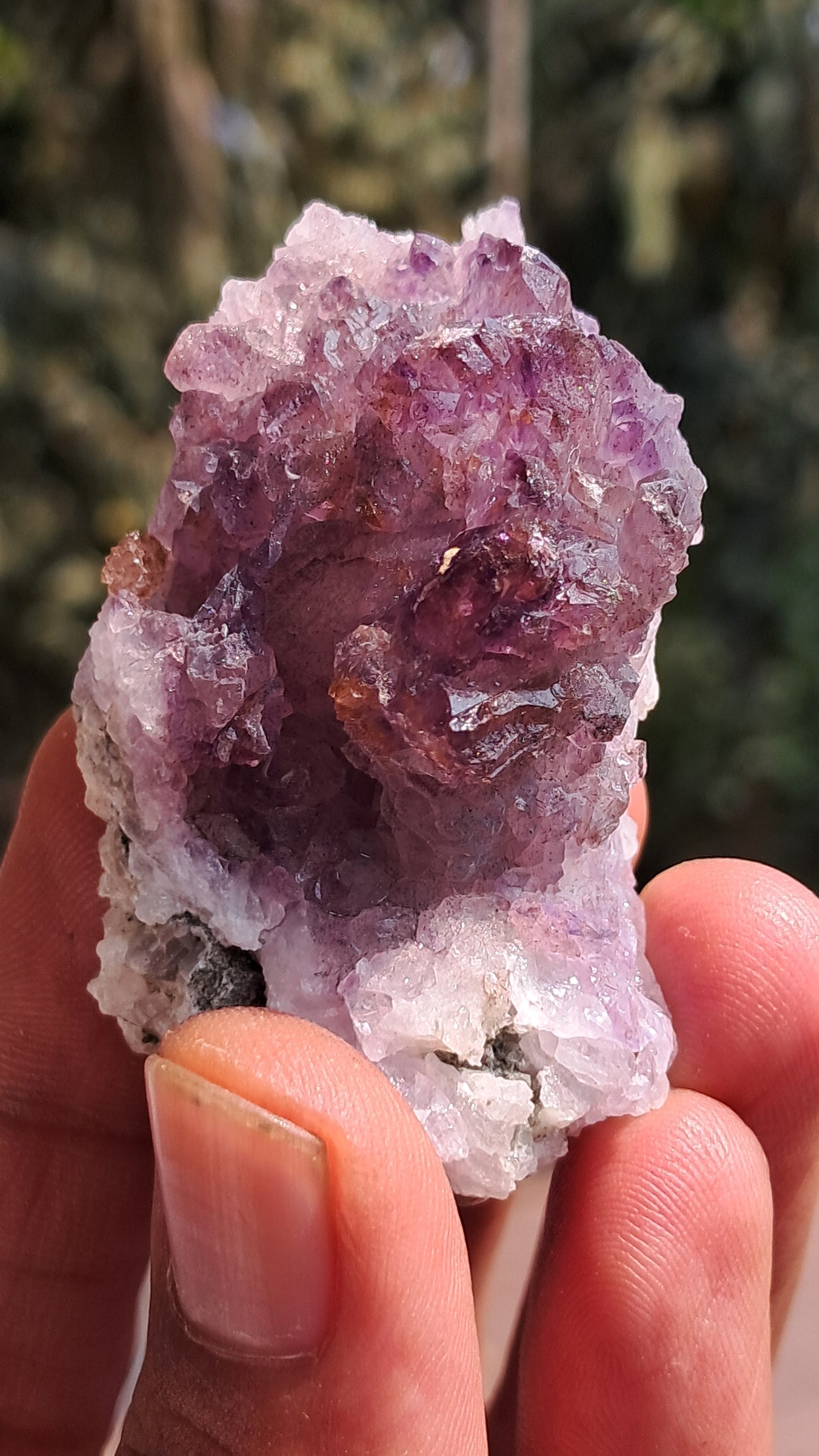 Karur Amethyst Scepter Cluster | "Super Seven" inclusions | Mineral Specimen #KA187