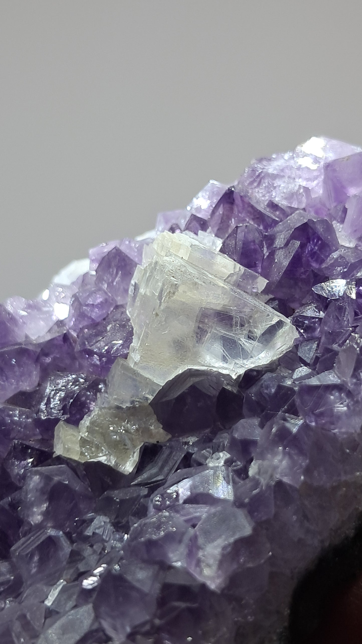 Amatista púrpura intenso con calcita reactiva a los rayos UV (Brasil) | Clúster natural | Muestra de mineral #AMB4