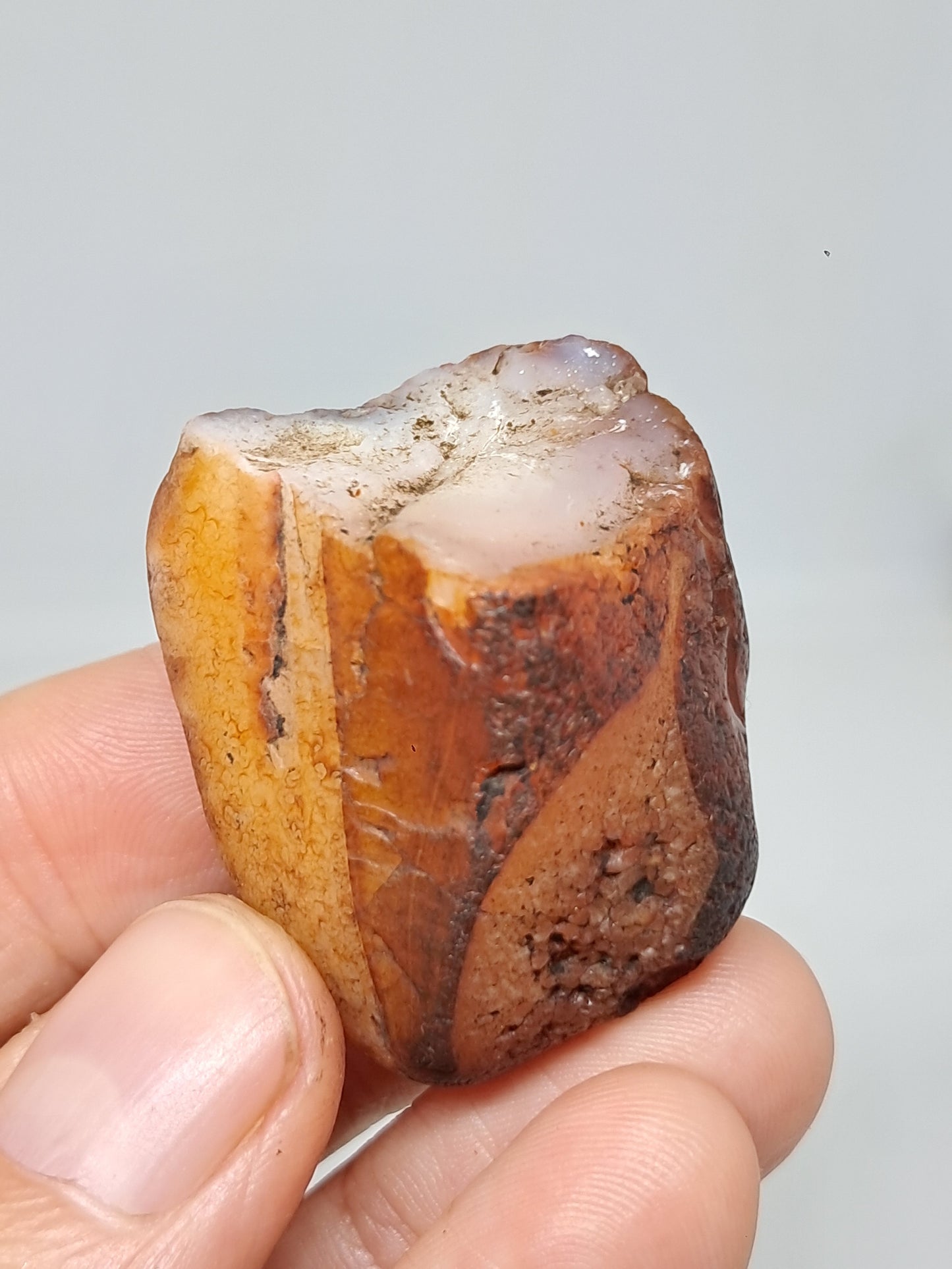 Rough Carnelian (India) Raw Stone | Natural Crystal | Mineral Specimen #CRN31