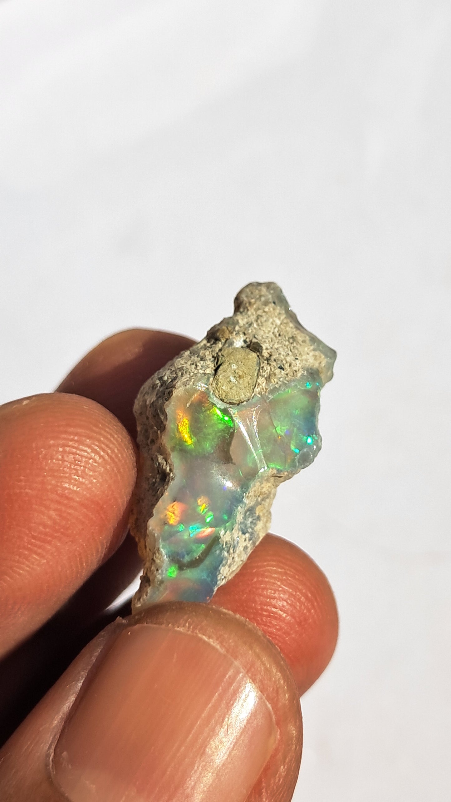 Natural Ethiopian Opal Rough | White Hydrophane Opal with Bright Play of Color #OP14