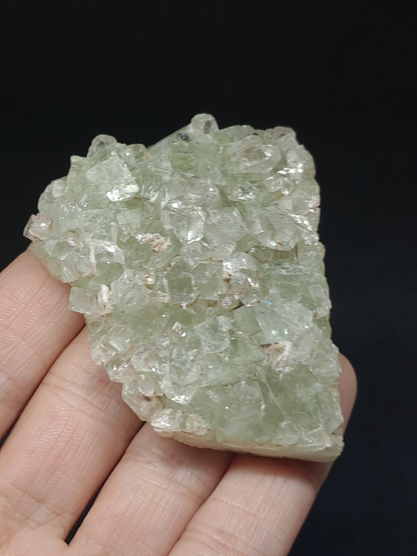 Green Apophyllite Cluster (Fluorapophyllite) (Ajanta) Rough Natural Crystal | Mineral Specimens #GA60