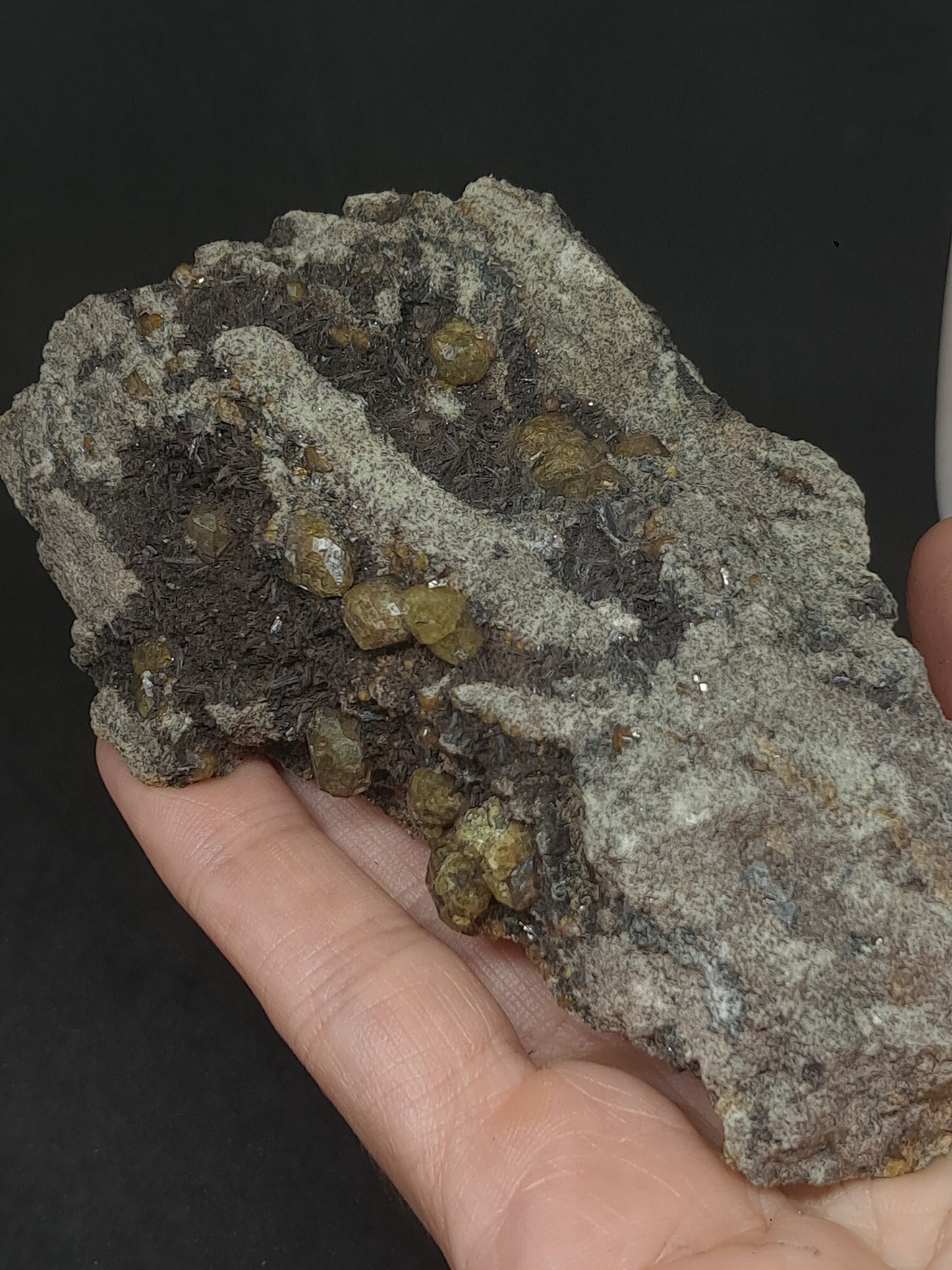Green Garnet w/ Aegirine (Acmite) on Matrix (Mexico) Andradite Garnet Cluster |Rough Crystal Stone | Mineral Specimen #GR27