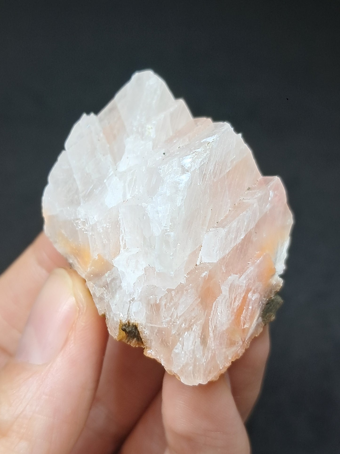 Calcita Rojiza/Rosa con Mesolita *Hallazgo Raro* (Pithampur) Cristal Natural | Piedra Bruta | Muestra Mineral #CA38
