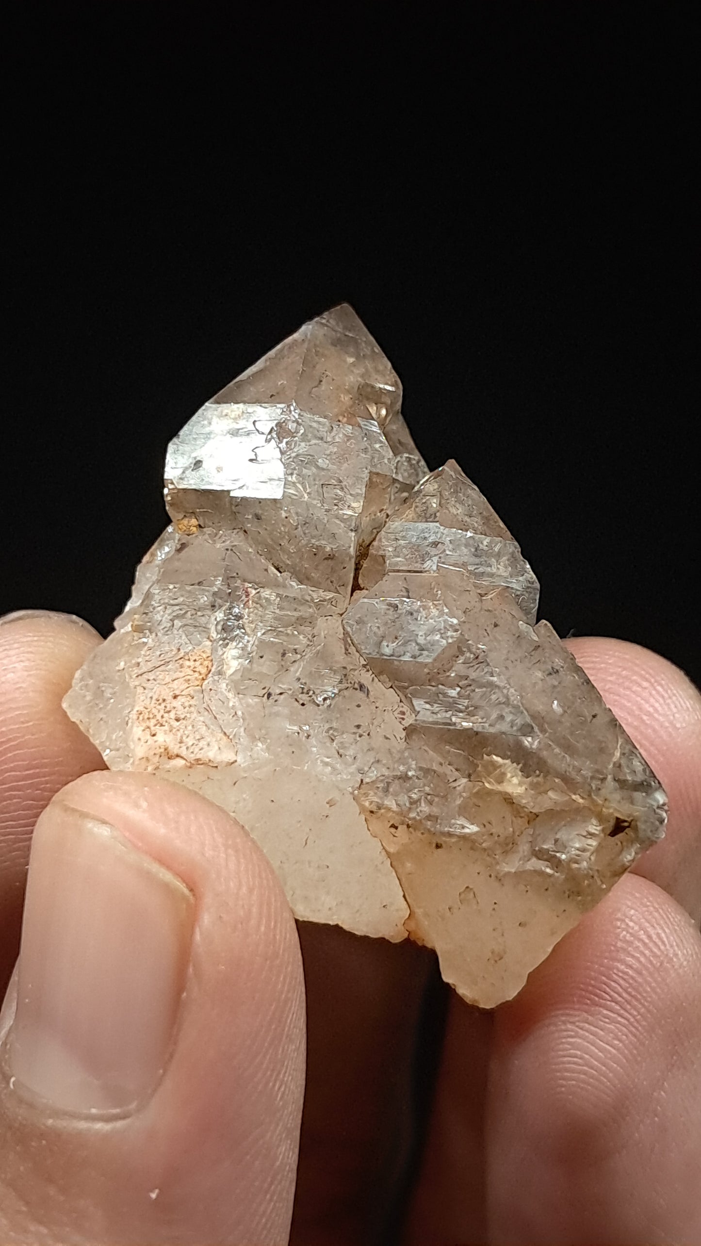 Elestial Smokey Quartz (Karur) Raw Natural Crystal Stone | Mineral Specimen #EQ21