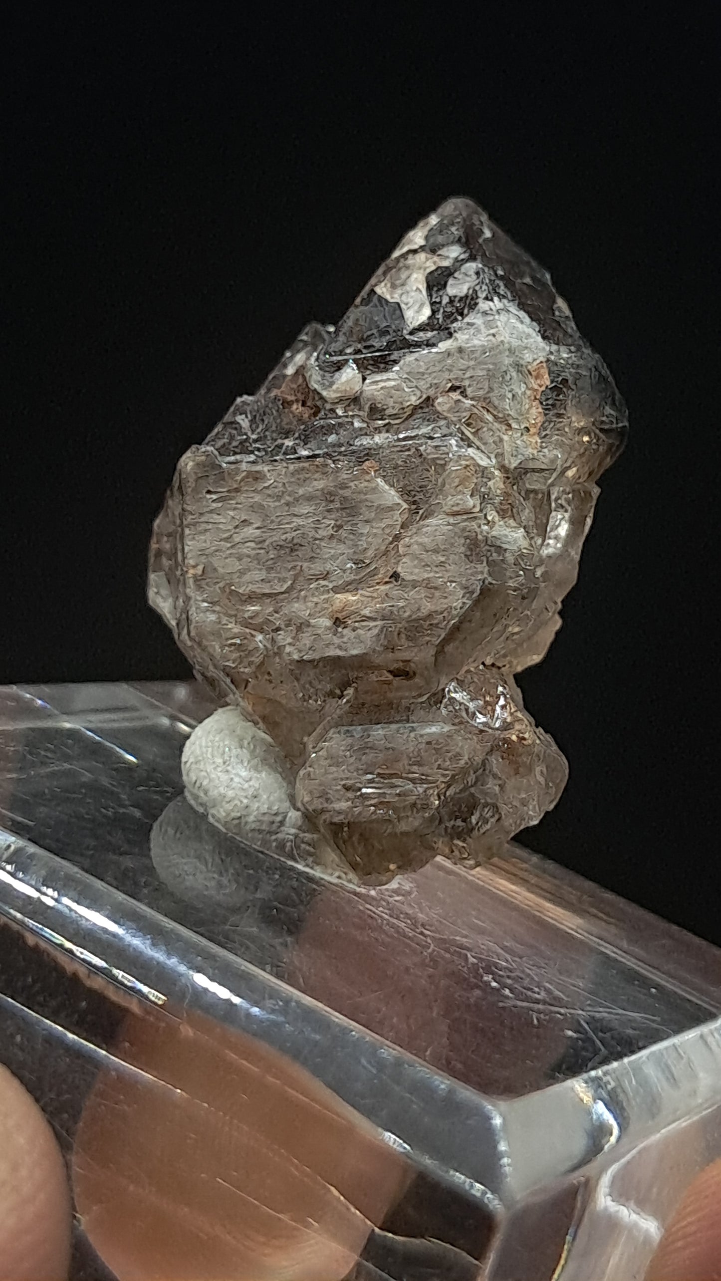 Elestial Smokey Quartz Scepter (Karur) Raw Natural Crystal | Mineral Specimen #EQ23