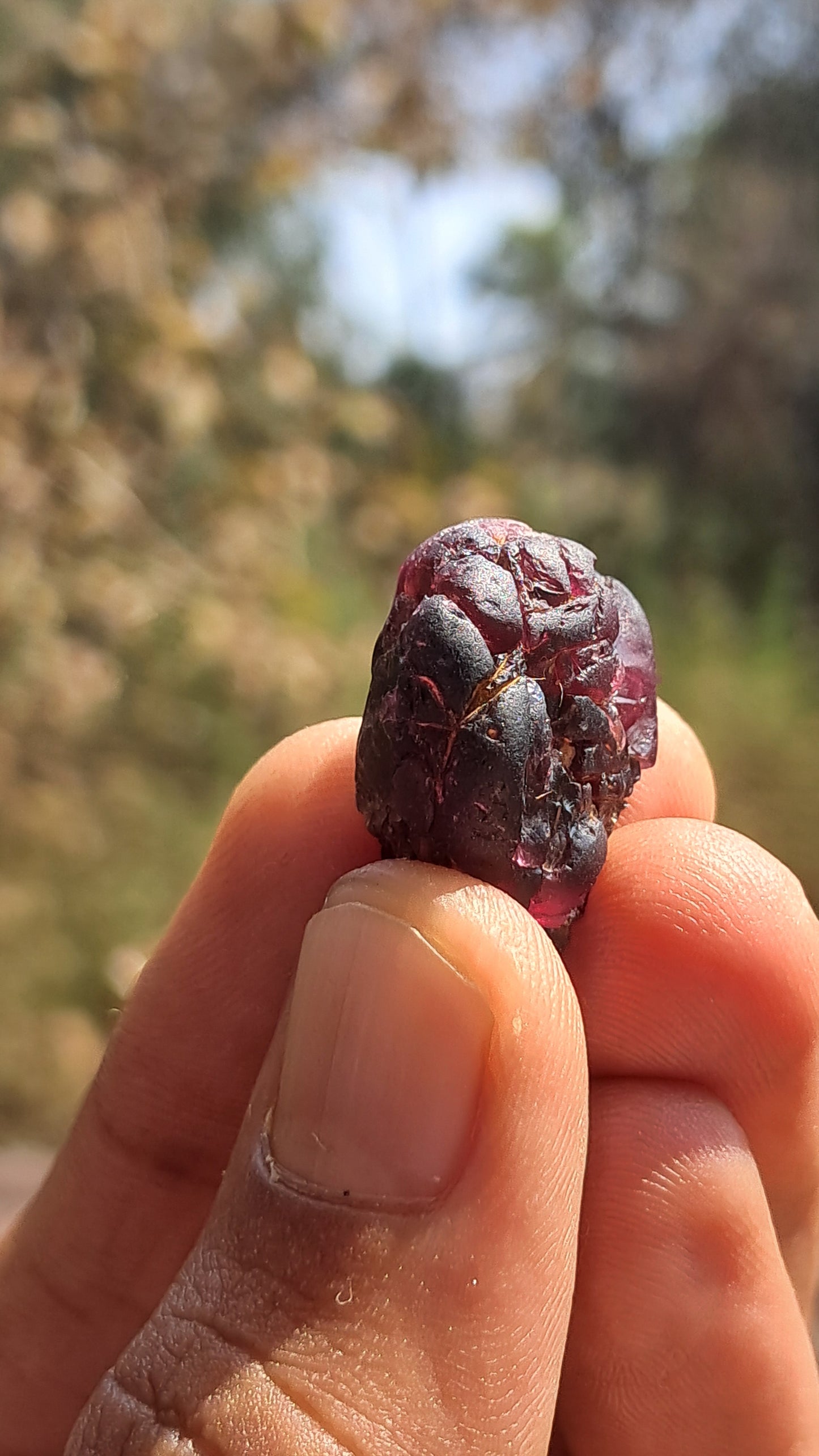 Granate rojo (Karur) | Pulido por el río | Piedra natural #RG2