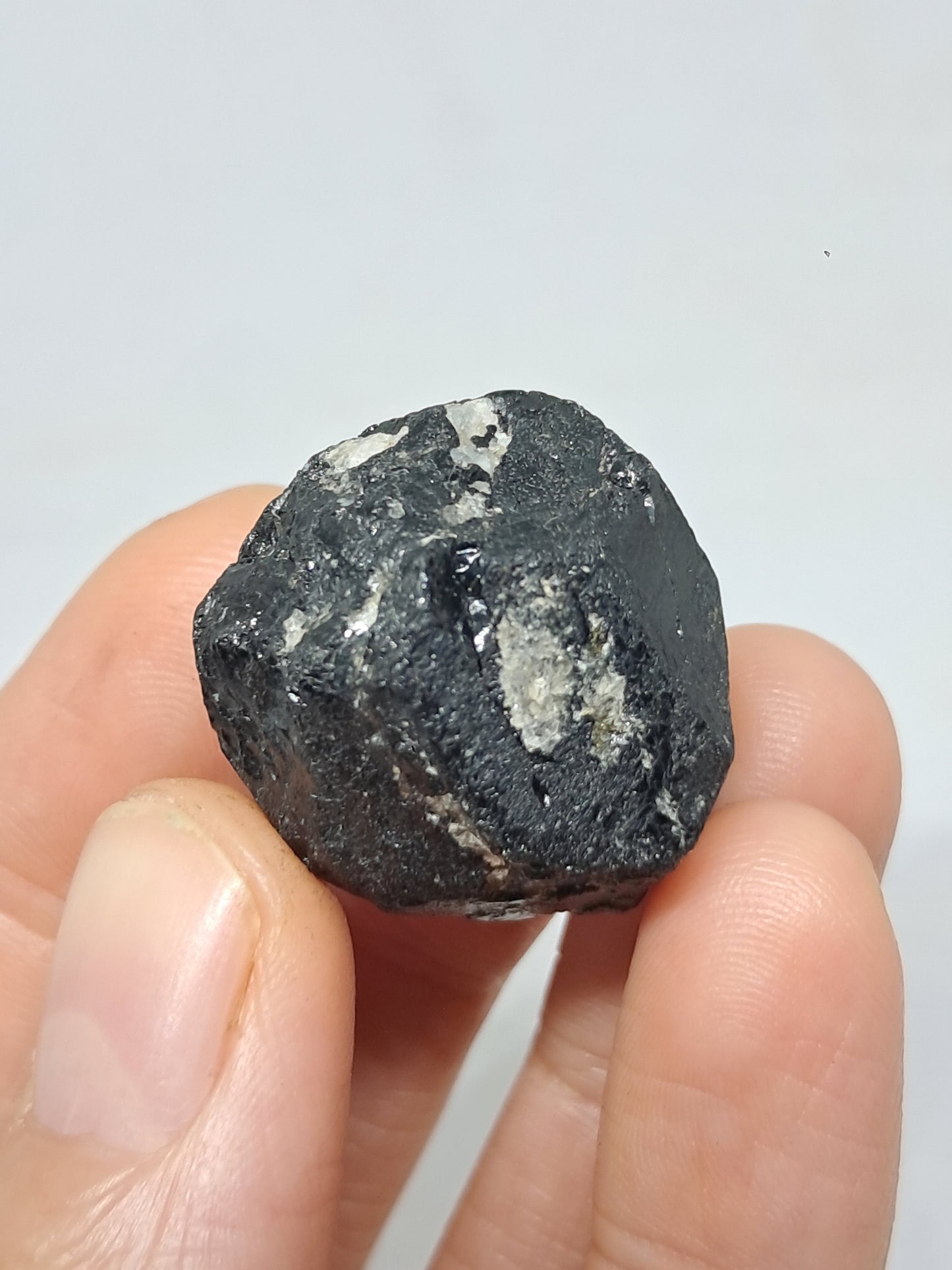 Black Tourmaline Crystal (Karnataka) Naturally Terminated | Natural Stone | Mineral Specimen #BT8