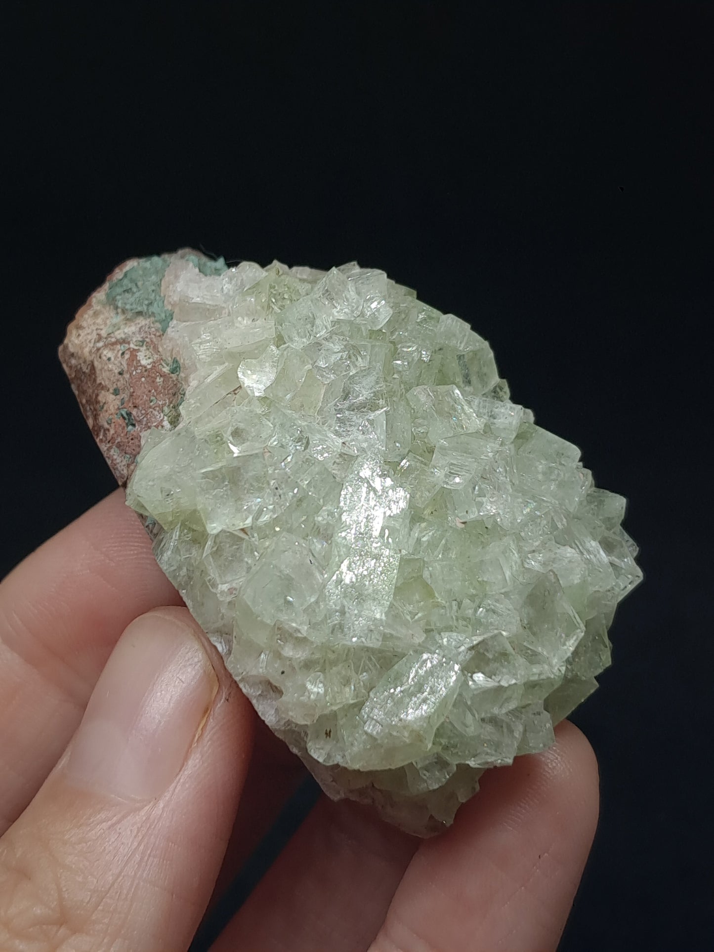 Green Apophyllite Cluster (Fluorapophyllite) (Ajanta) Rough Natural Crystal | Mineral Specimens #GA59
