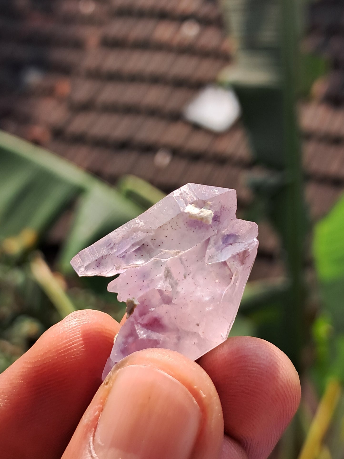Amethyst Scepter cluster from Karur | Natural Crystal | Mineral Specimen #KA176
