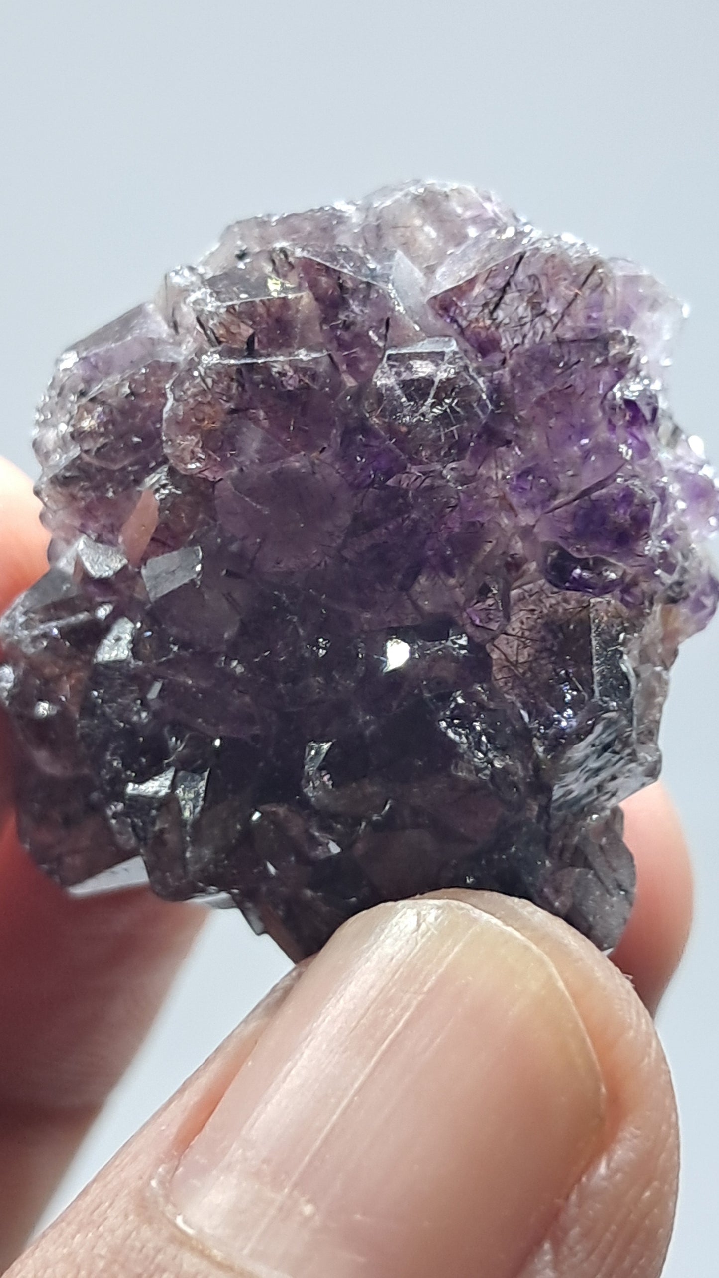 Amatista Elestial Morada Oscura sobre Cuarzo | Inclusiones de Hematita Goethita Rutilo | Cristal Natural | Muestra Mineral #KA194