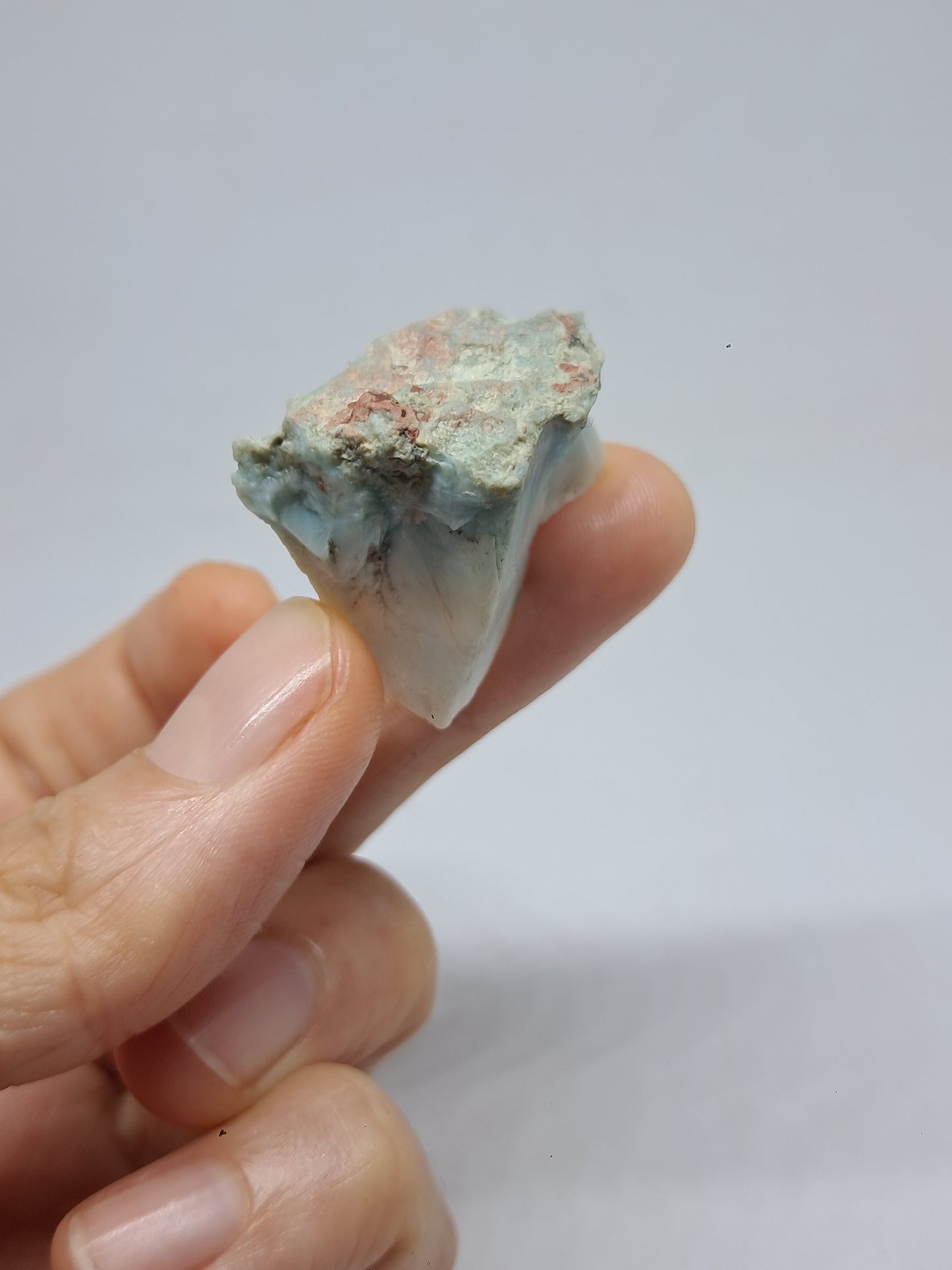Larimar Raw (Dominican Republic) Rough Stone | Natural Rock #LM21