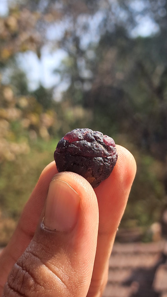Red Garnet (Karur) | River worn | Natural Stone #RG7