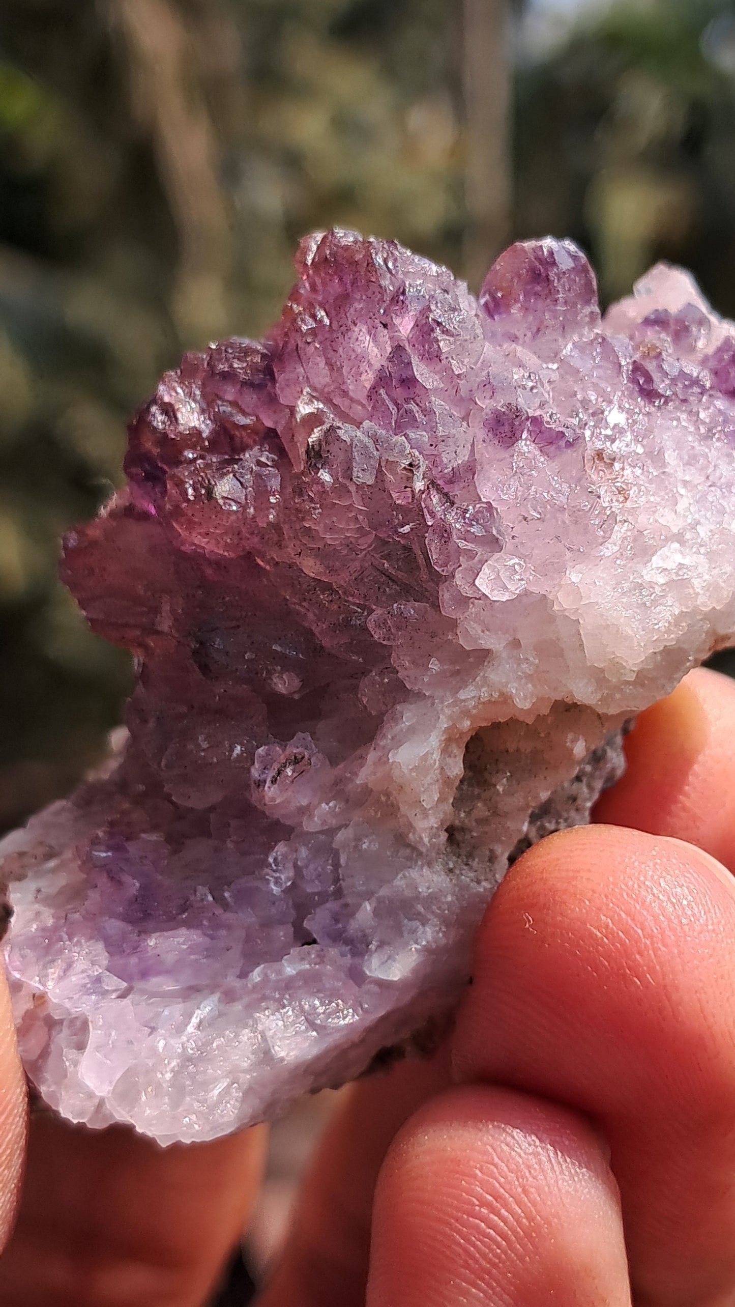 Karur Amethyst Scepter Cluster | "Super Seven" inclusions | Mineral Specimen #KA187