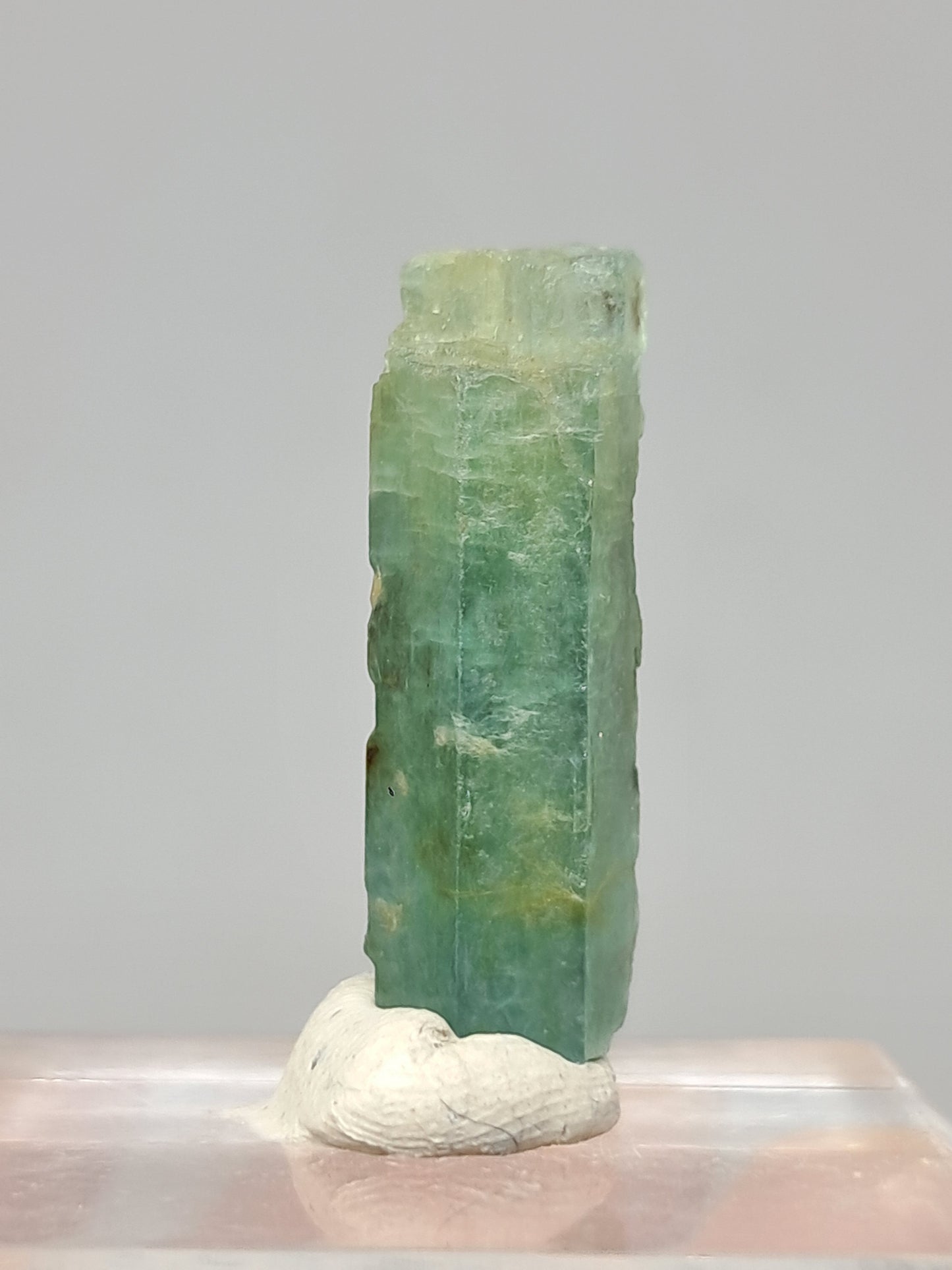Aguamarina (Karur) Cristal hexagonal en bruto | Ejemplar mineral n.° AQM24