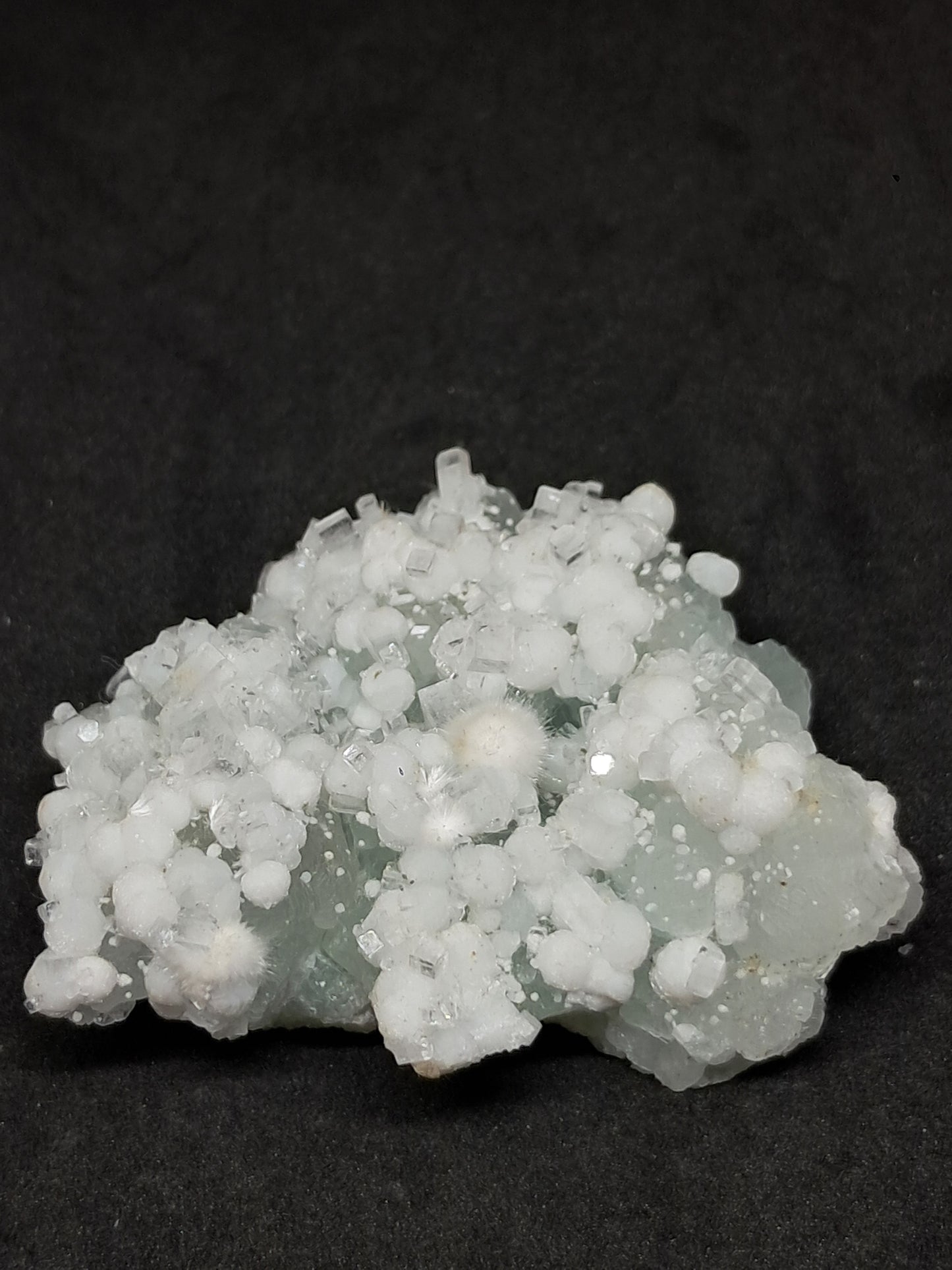 Okenite w/ Gyrolite and Apophyllite on Prehenite Matrix (Mumbai) Mineral Specimen | Collector Grade | Natural Crystal #OK23