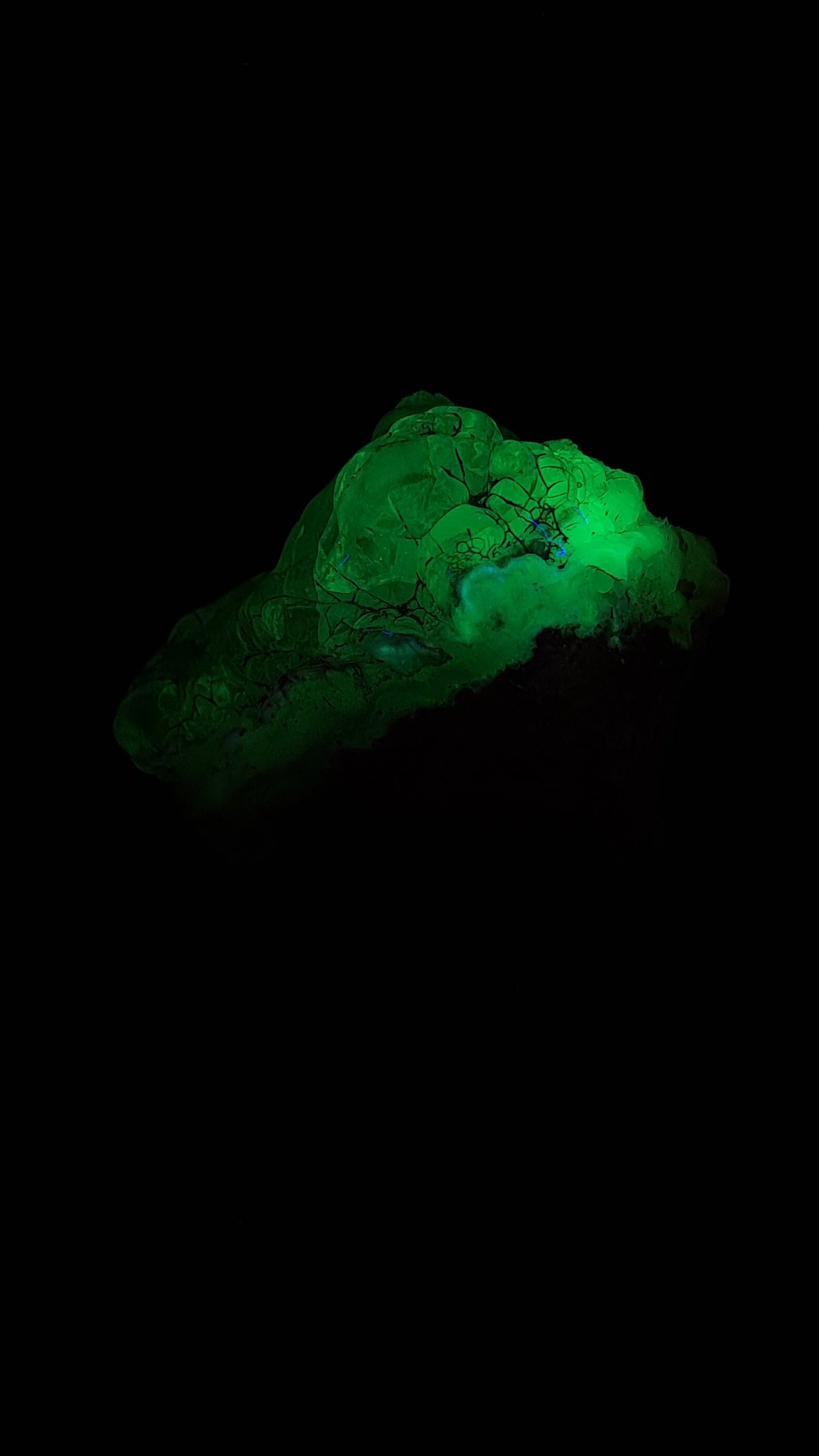 Hyalite Opal on Matrix (Mexico) Rough Crystal Stone | UV-Reactive Mineral Specimen #OH6
