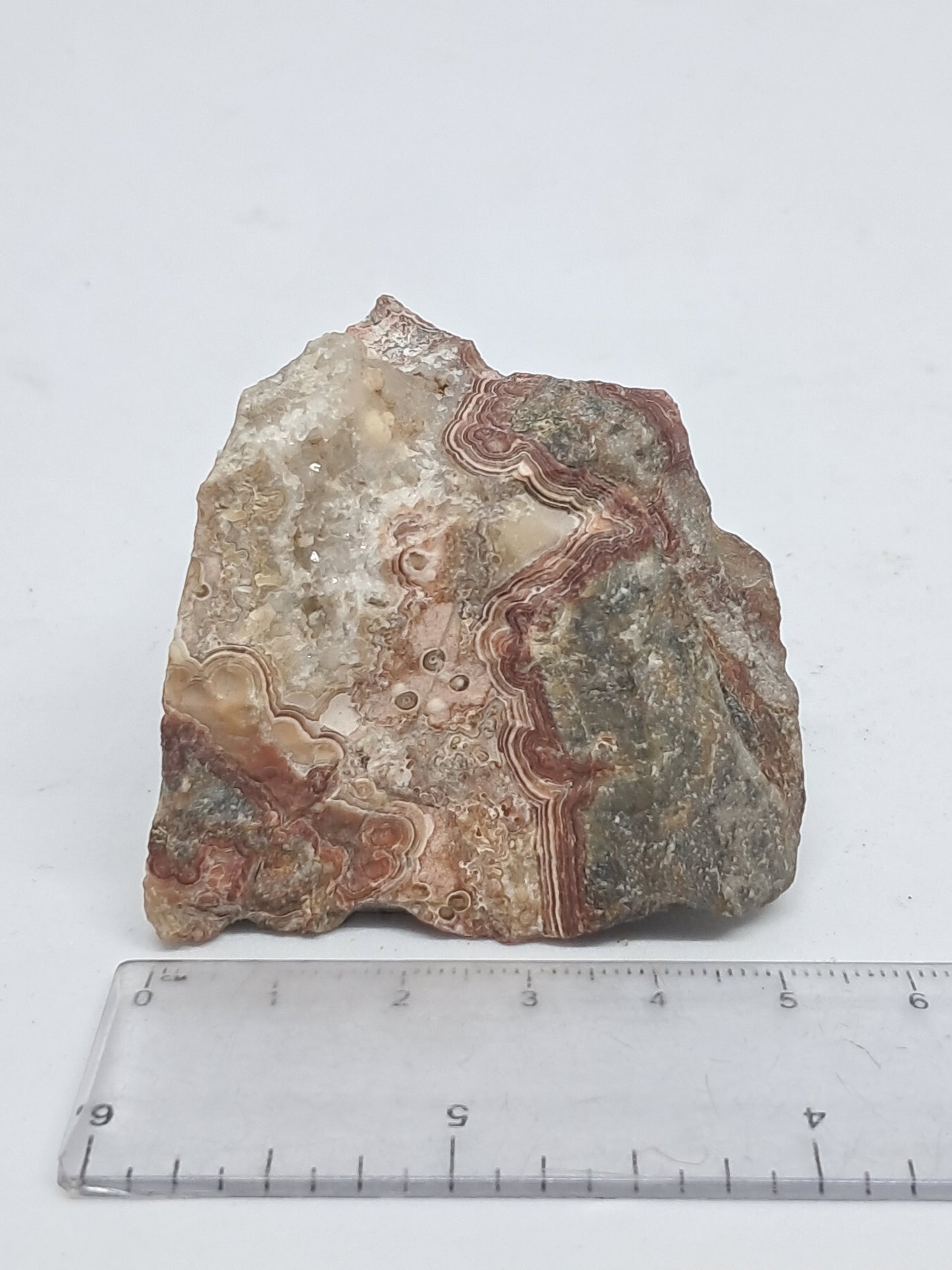 Crazy Lace Agate Rough | Natural Stone | Mineral Specimen #CLA3