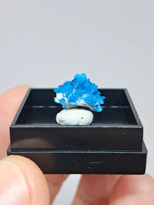 Pentagonite (Pune) Rough Stone | Natural Crystal | Rare Mineral Specimen #CV56