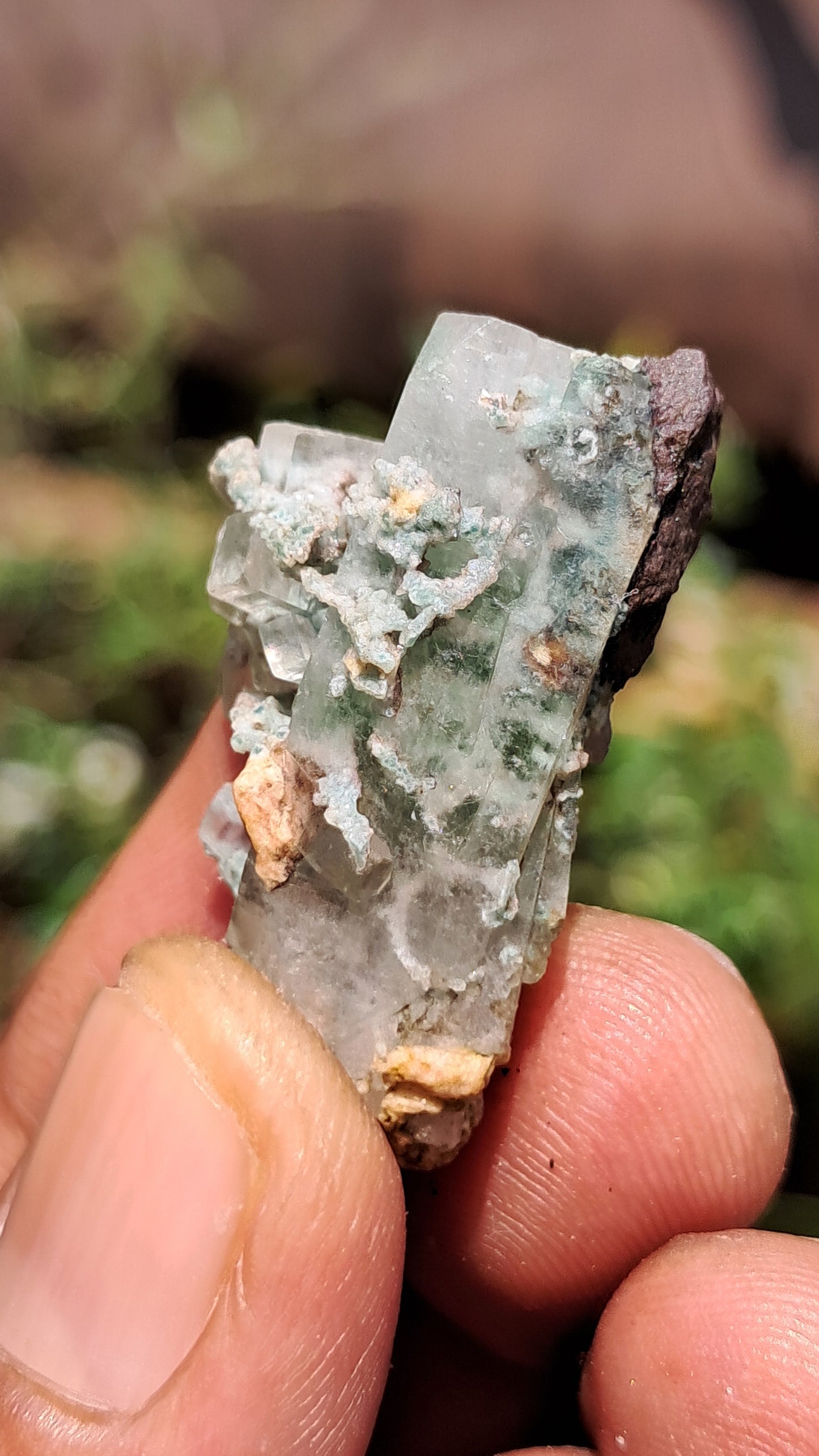 Green Apophyllite (Fluorapophyllite) (Ajanta) Natural Crystal | Mineral Specimen #GA25