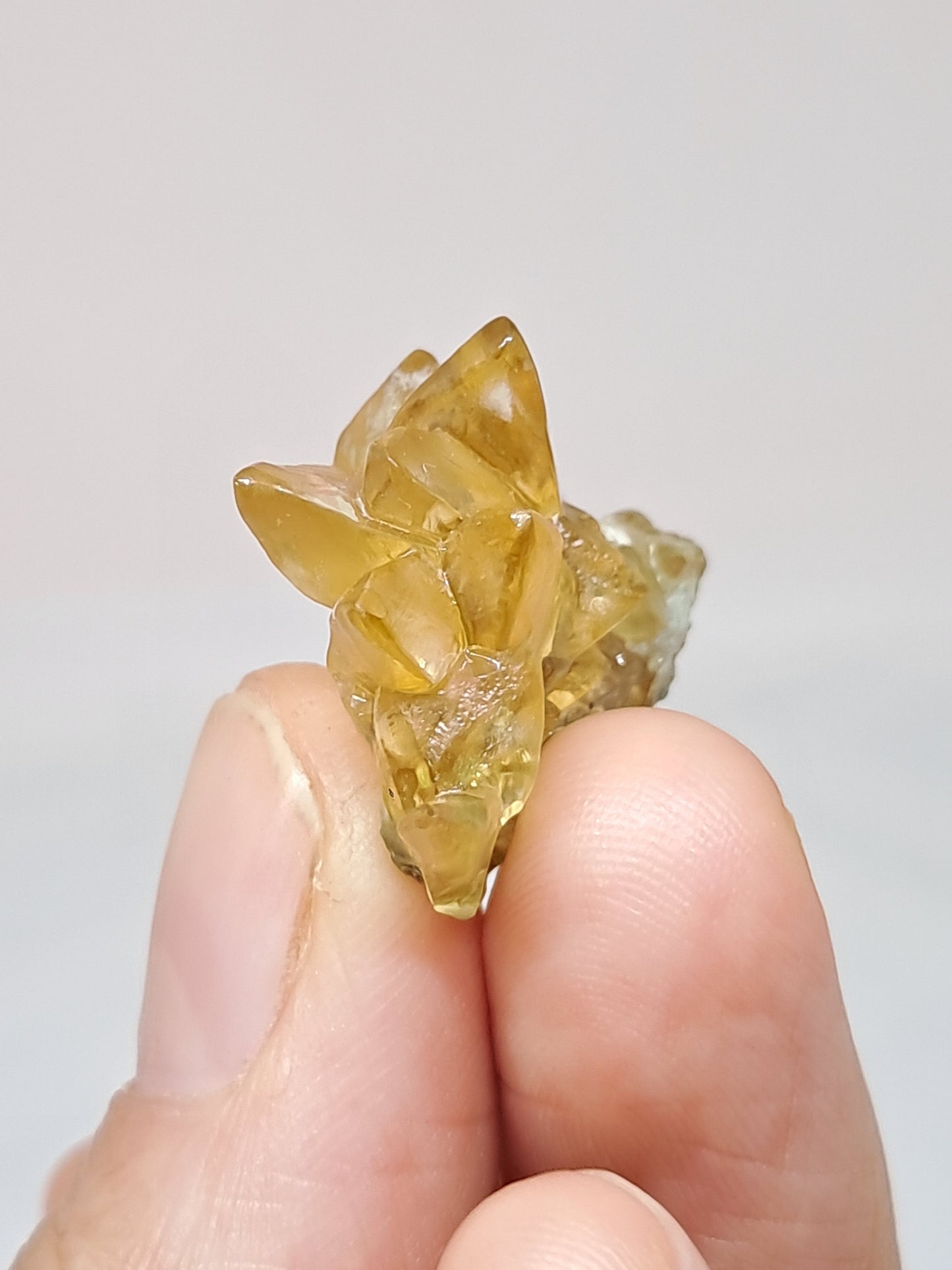 Calcita amarilla miel (Maharashtra) Formación de diente de perro | Cristal natural | Ejemplar mineral n.° CA23